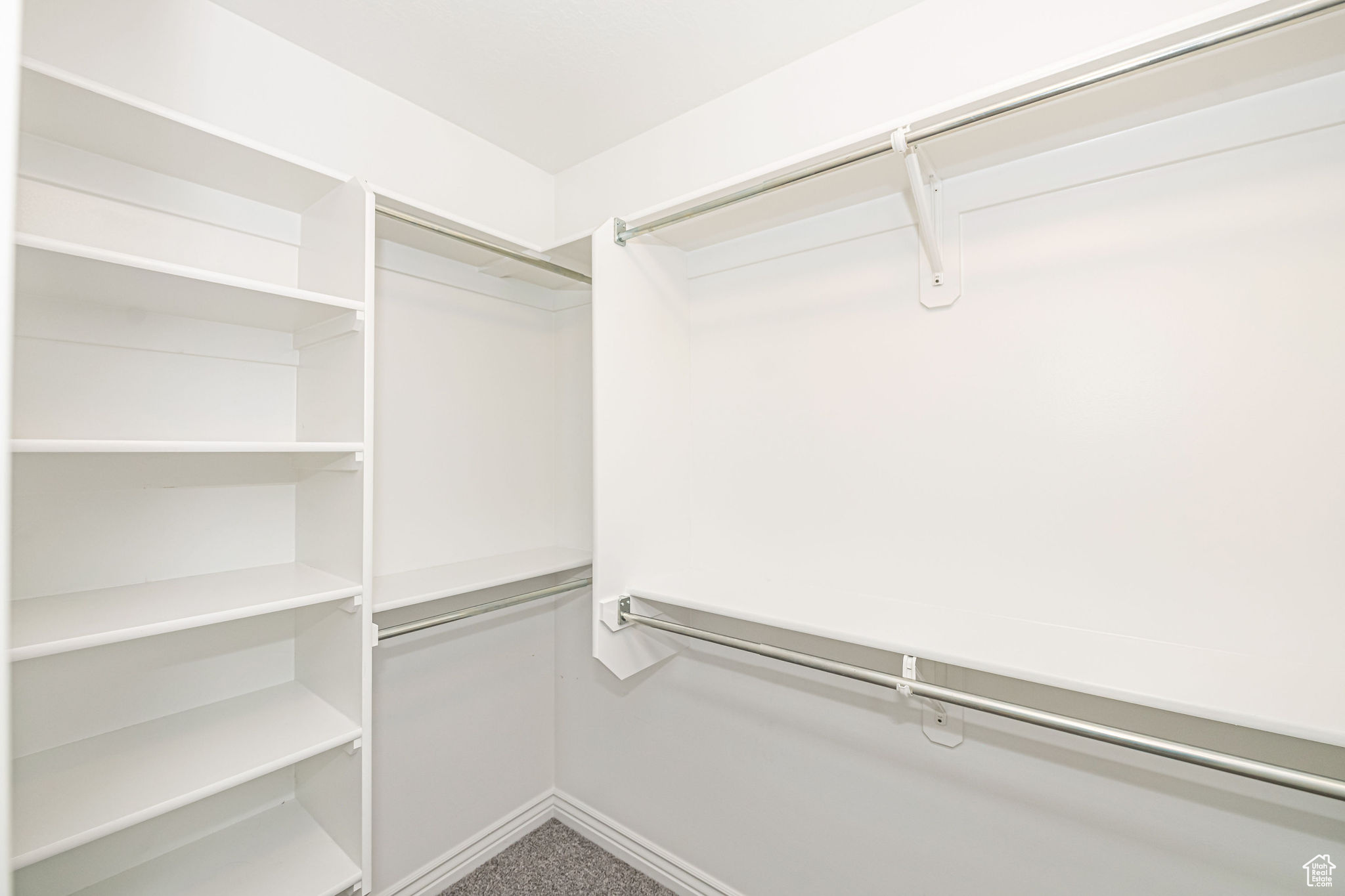 Walk in closet with carpet