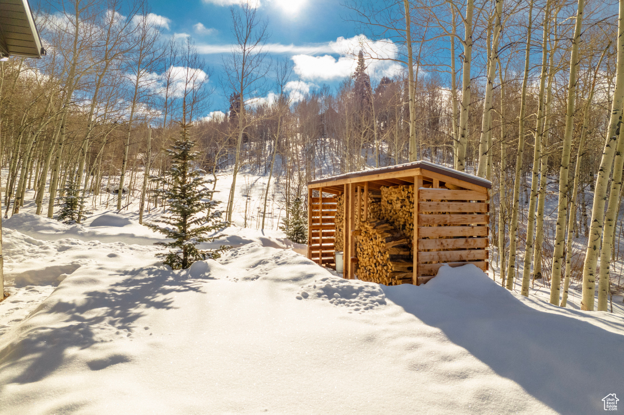 Snowy yard featuring an outdoor structure