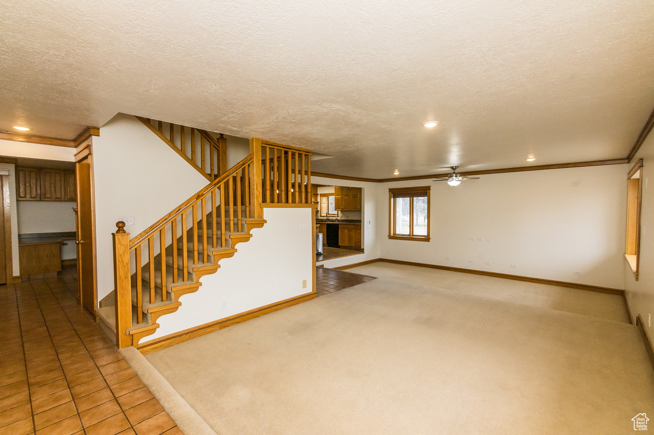 Living room with ceiling fan, crown molding.