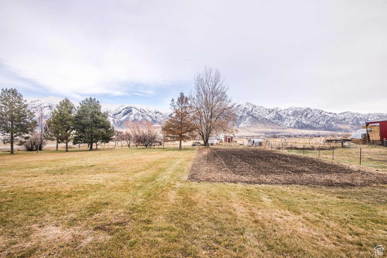 View of yard featuring a rural view and a mountain view