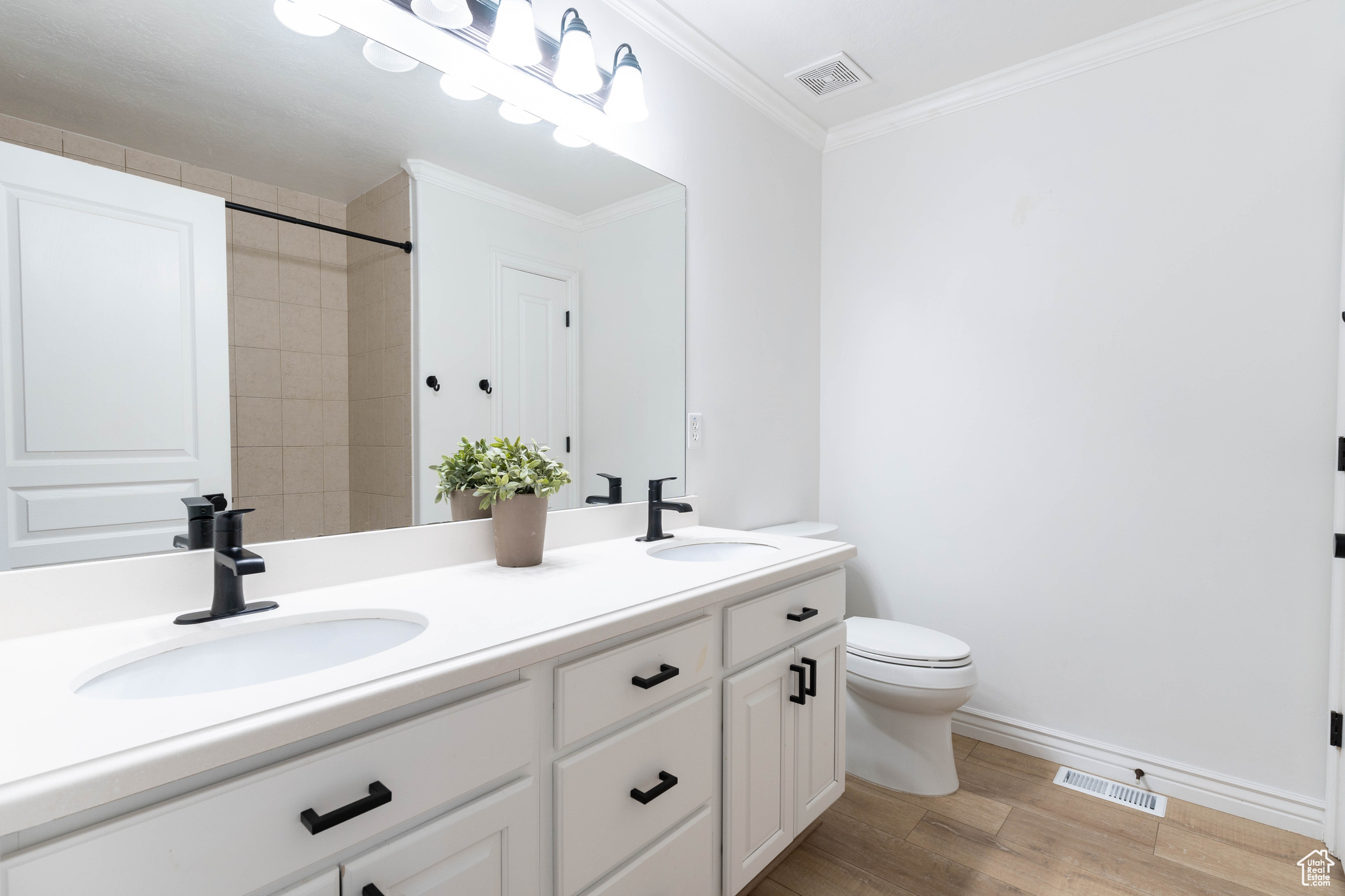 Bathroom with toilet, vanity, hardwood / wood-style floors, and crown molding