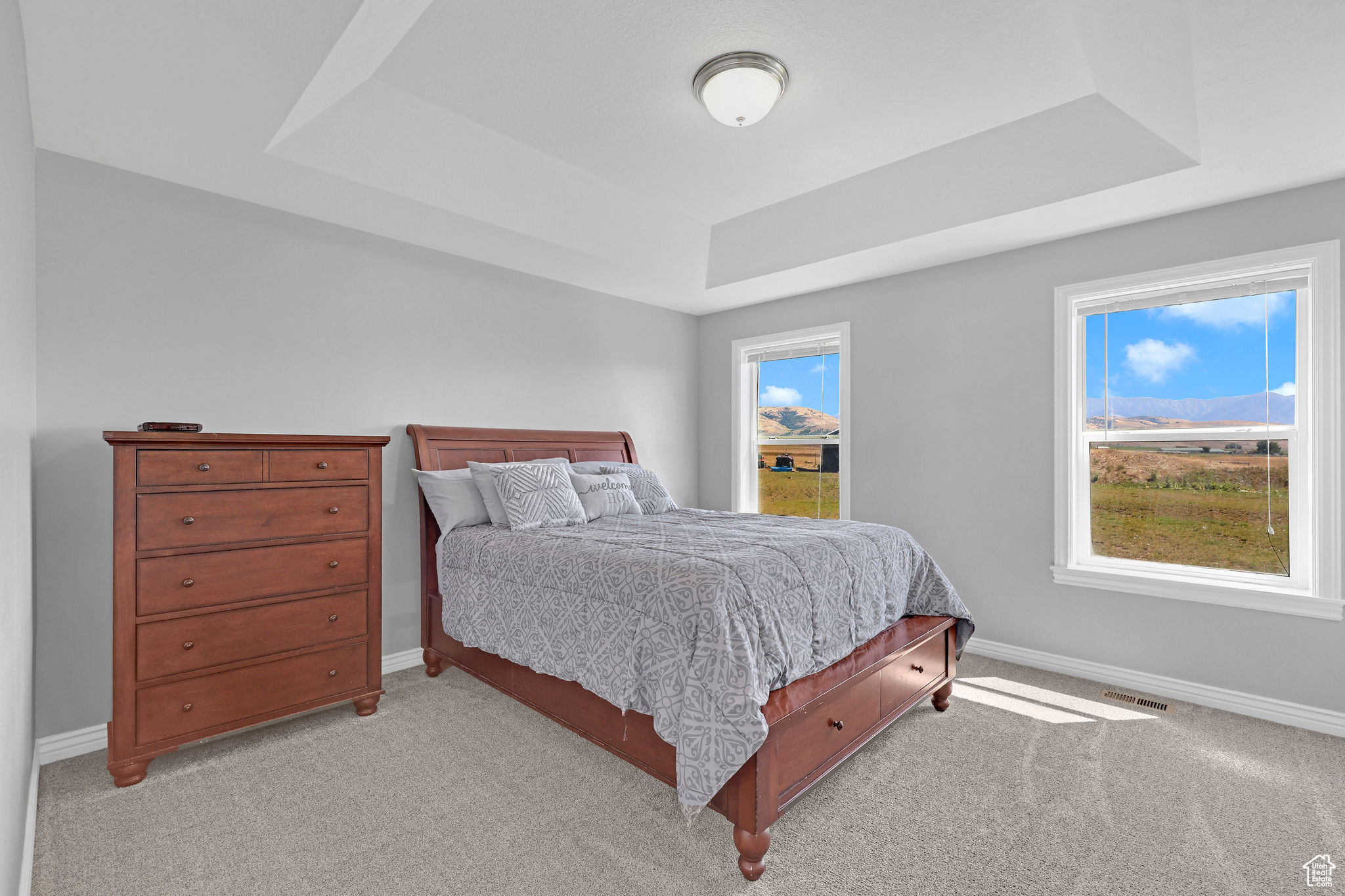 Carpeted bedroom with a raised ceiling