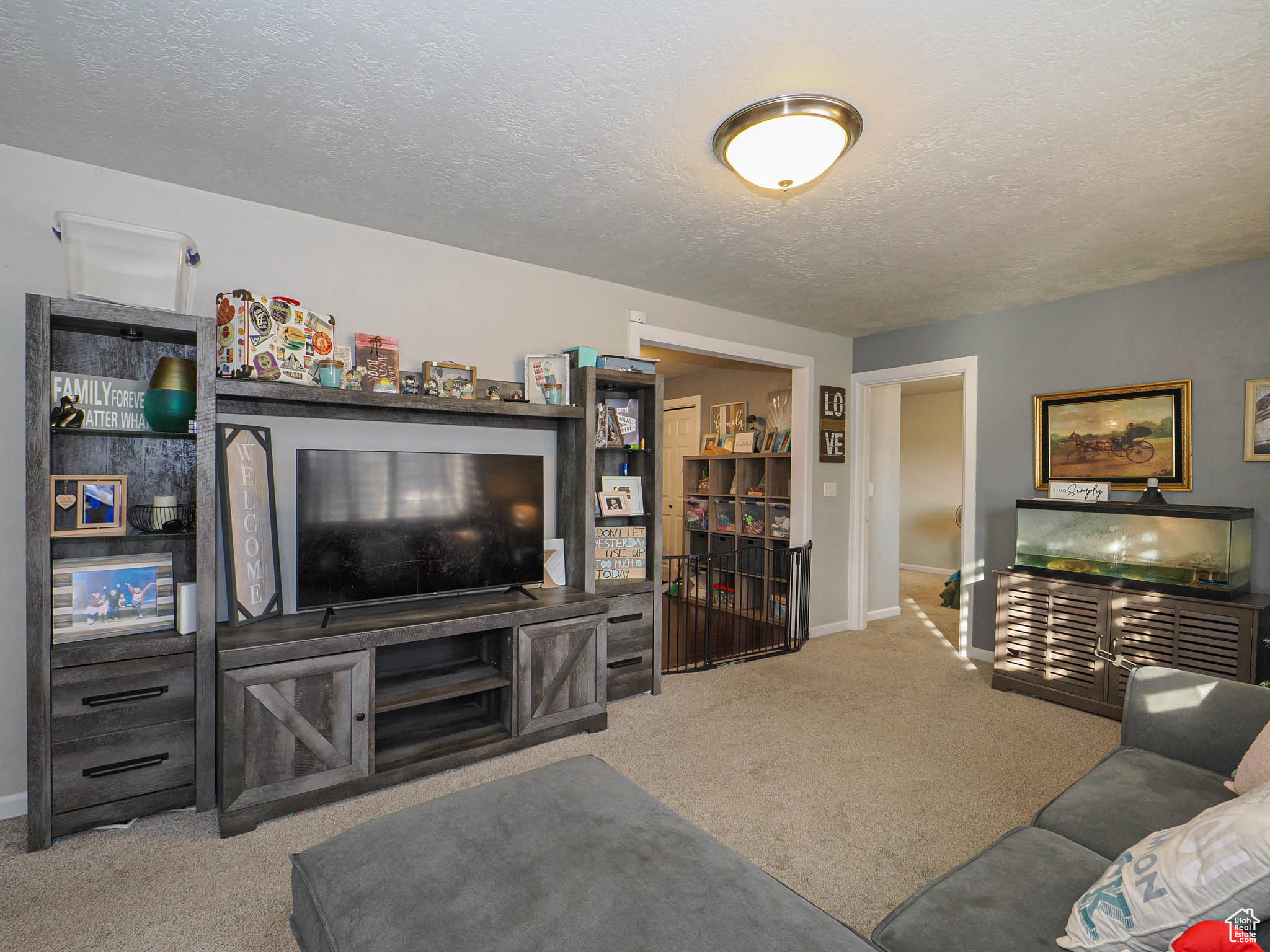 Carpeted living room featuring a textured ceiling