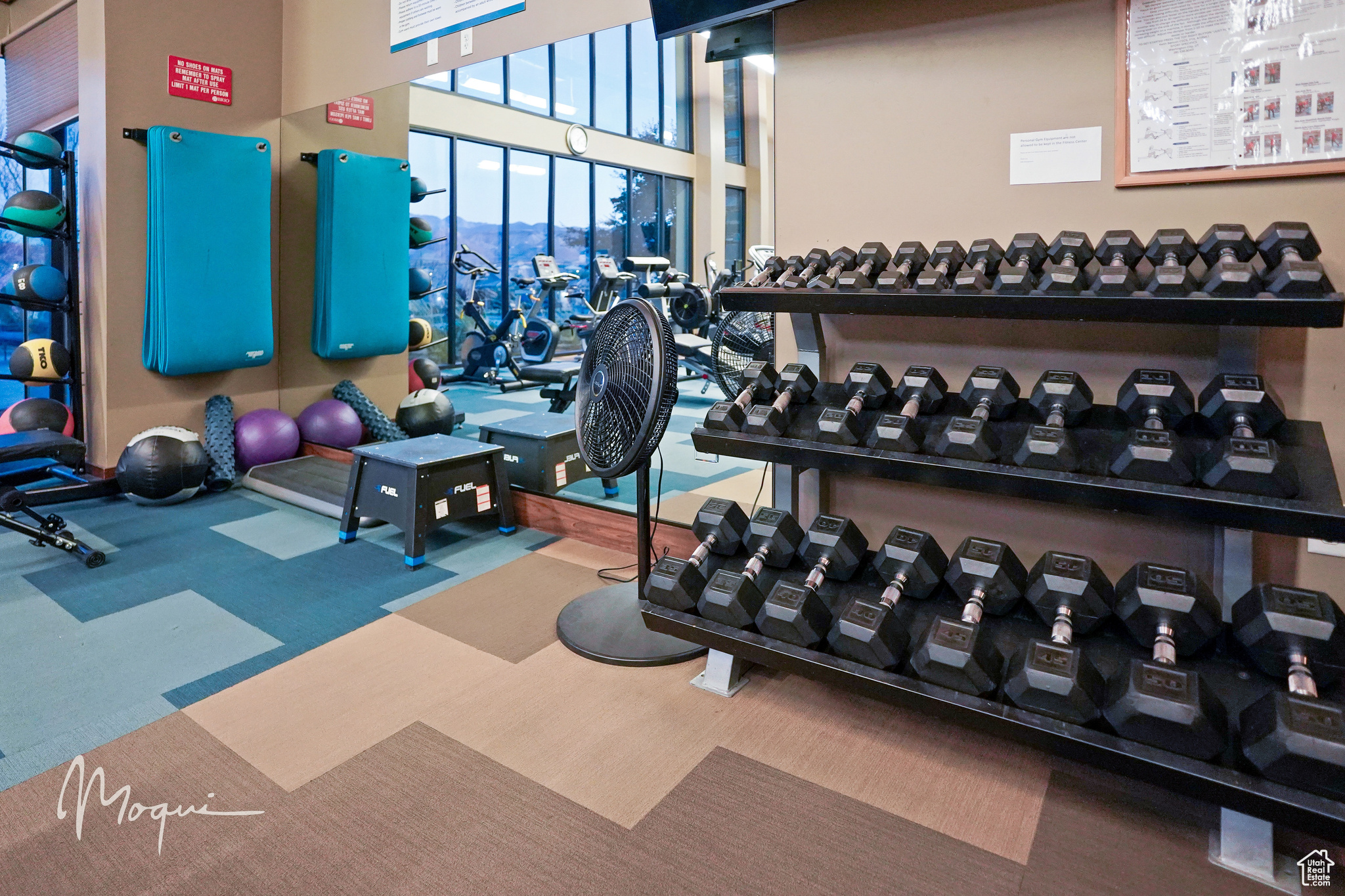 Brio community center gym, with free-weights, medicine balls, yoga mats, etc.