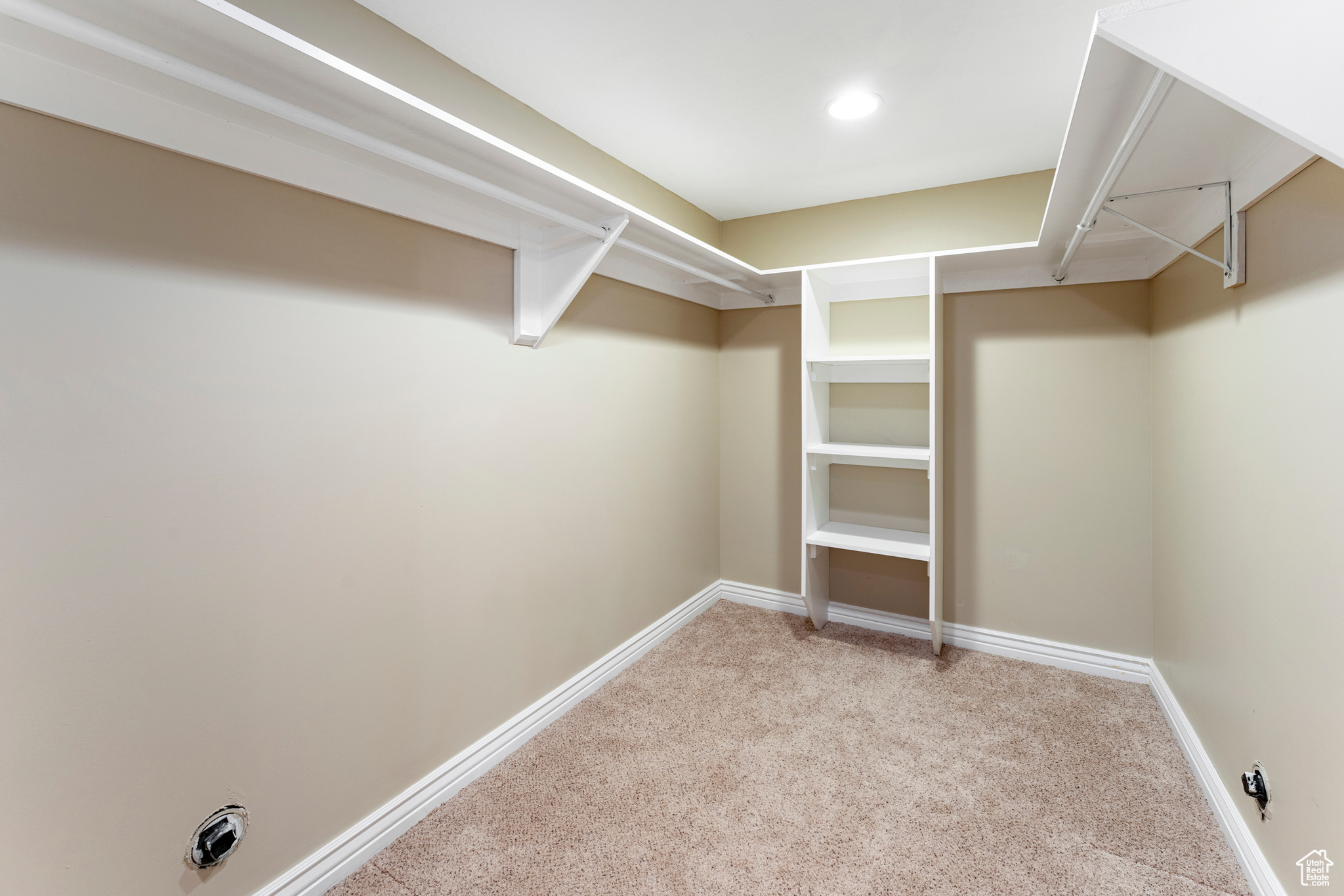 Spacious closet featuring light carpet