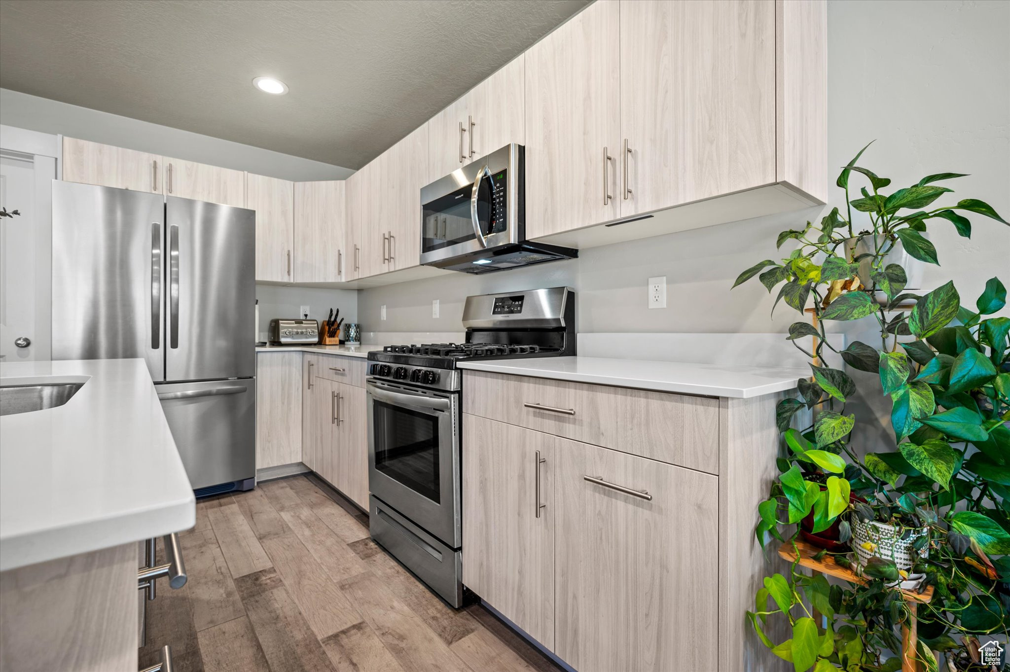 Kitchen featuring appliances with stainless steel finishes, light brown cabinetry, and light hardwood / wood-style flooring