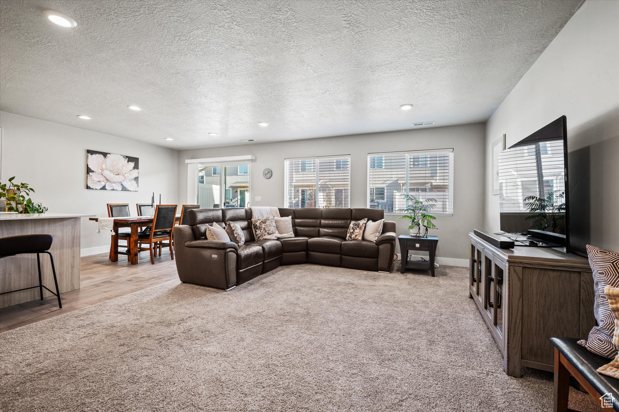 Carpeted living room with a healthy amount of sunlight and a textured ceiling