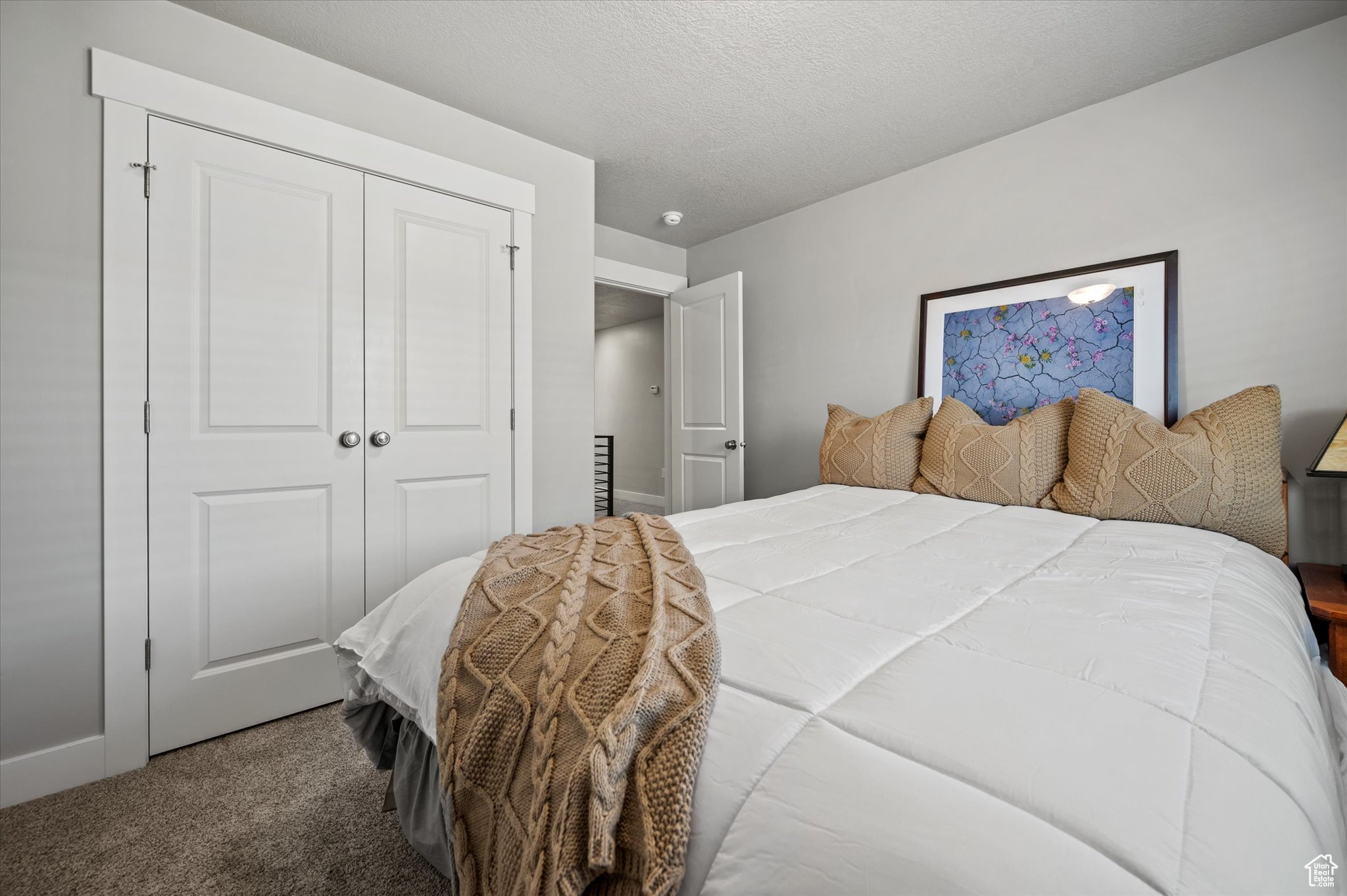 Carpeted bedroom with a closet