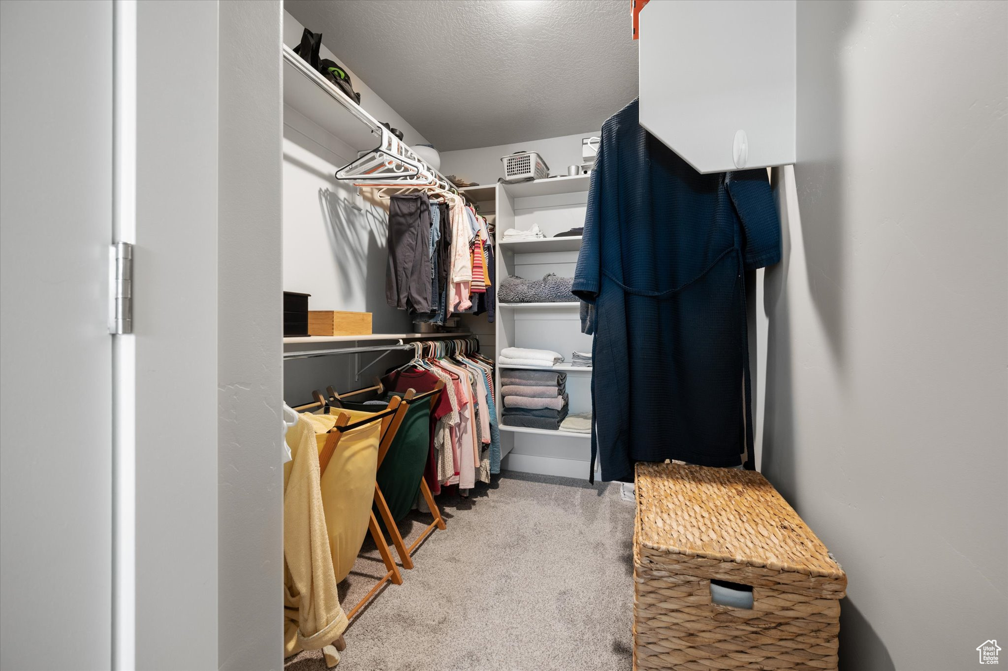 Spacious closet featuring light carpet