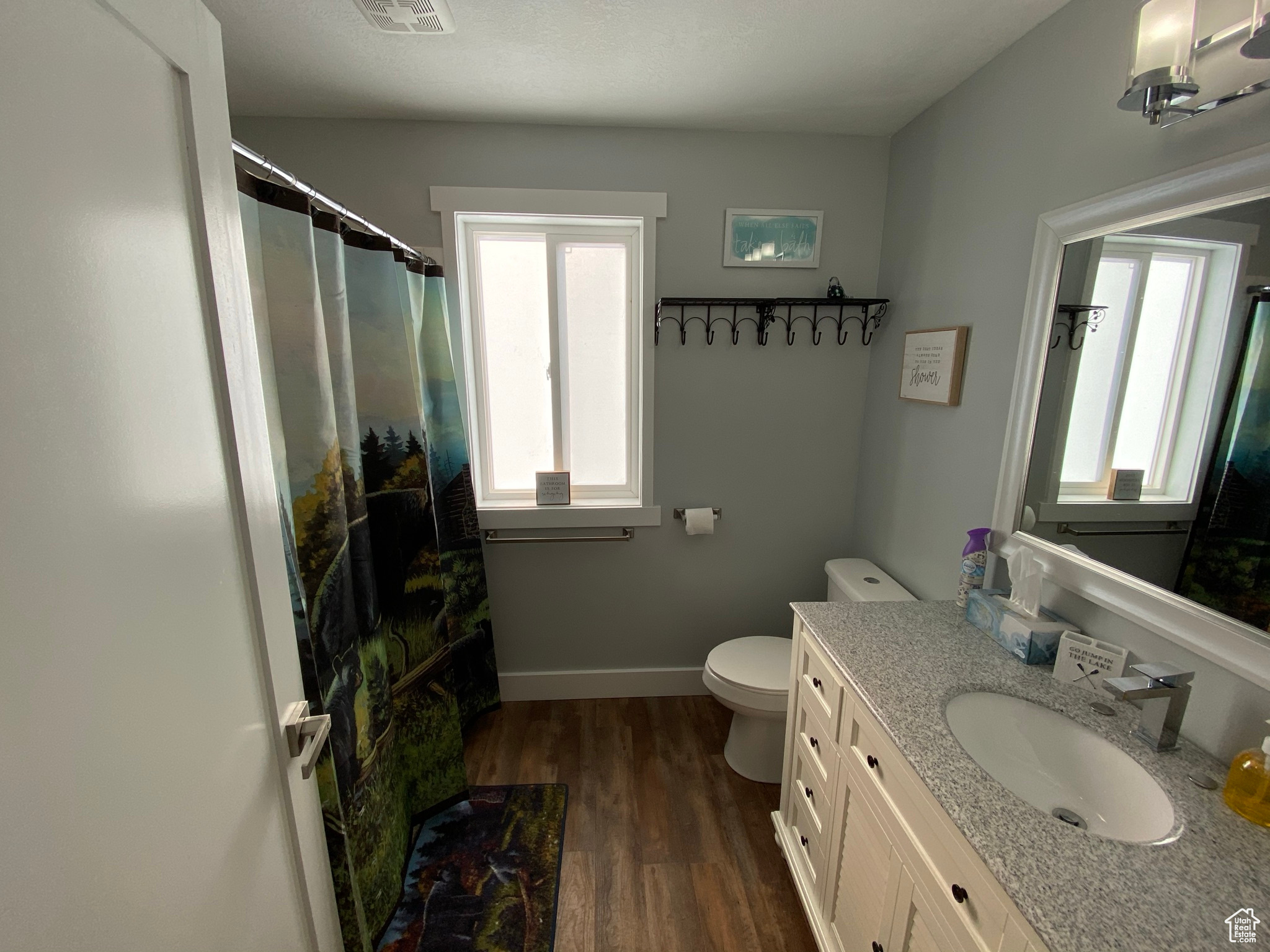 Bathroom with hardwood / wood-style flooring, toilet, vanity, and walk in shower