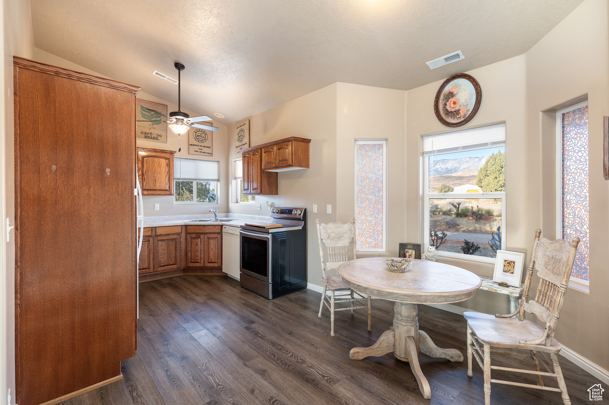 Kitchen with lofted ceiling, dishwasher, a wealth of natural light, stainless steel range with electric stovetop, and dark hardwood / wood-style flooring