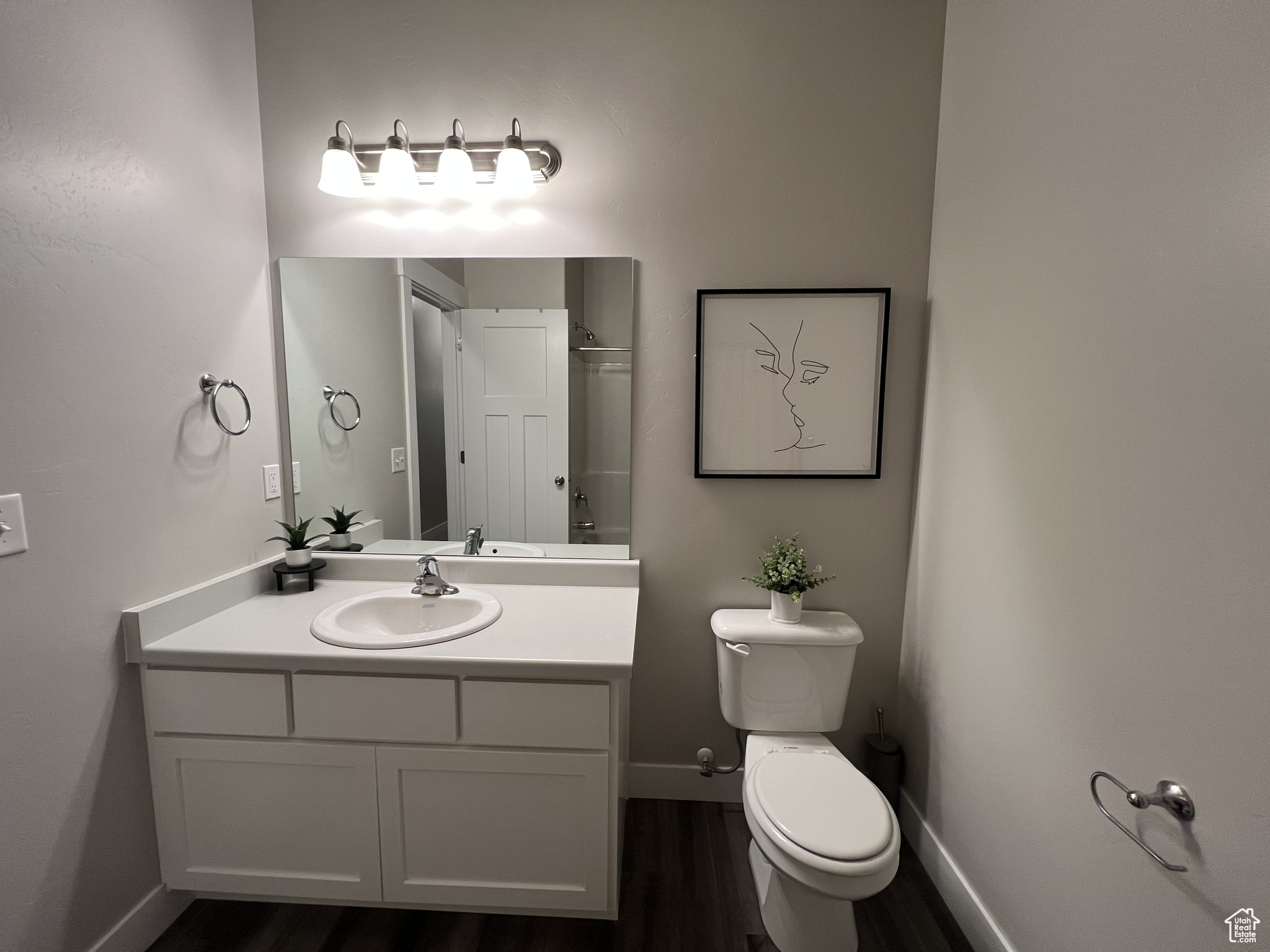 Bathroom featuring toilet, vanity, and hardwood / wood-style flooring