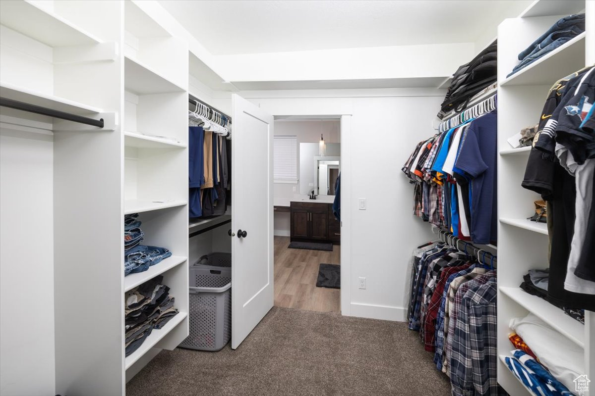 Walk in closet with carpet floors