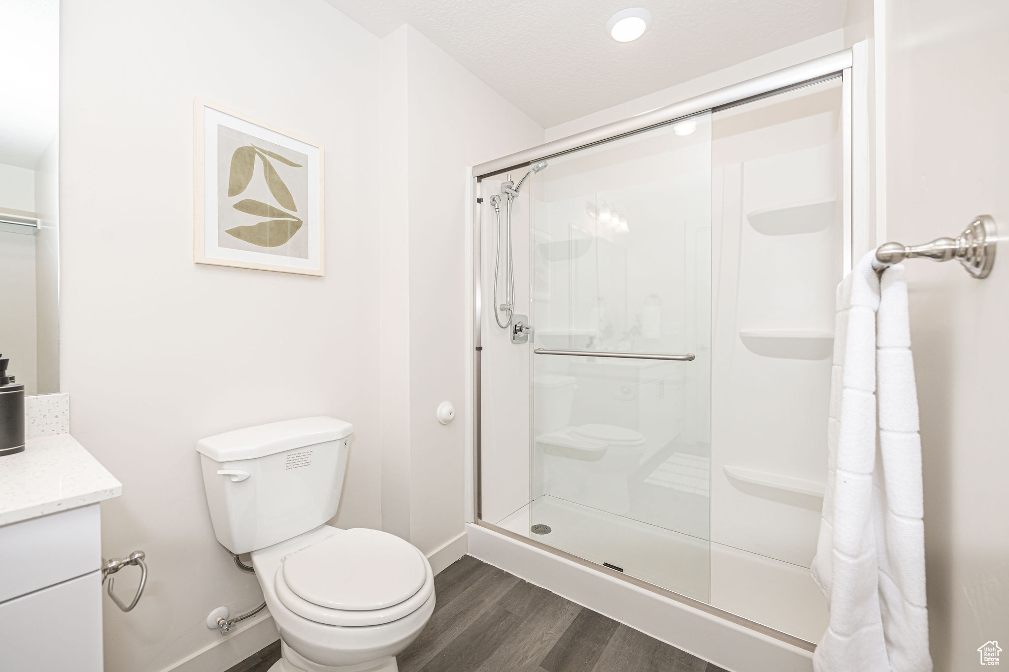 Bathroom with toilet, wood-type flooring, walk in shower, and vanity