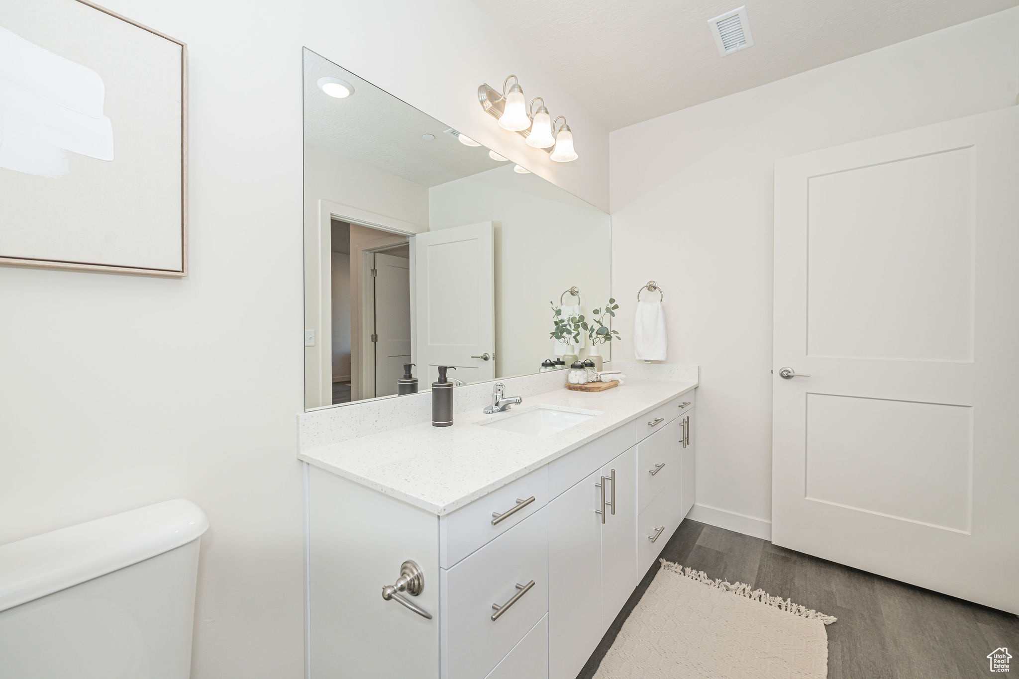 Bathroom with wood-type flooring, toilet, and vanity