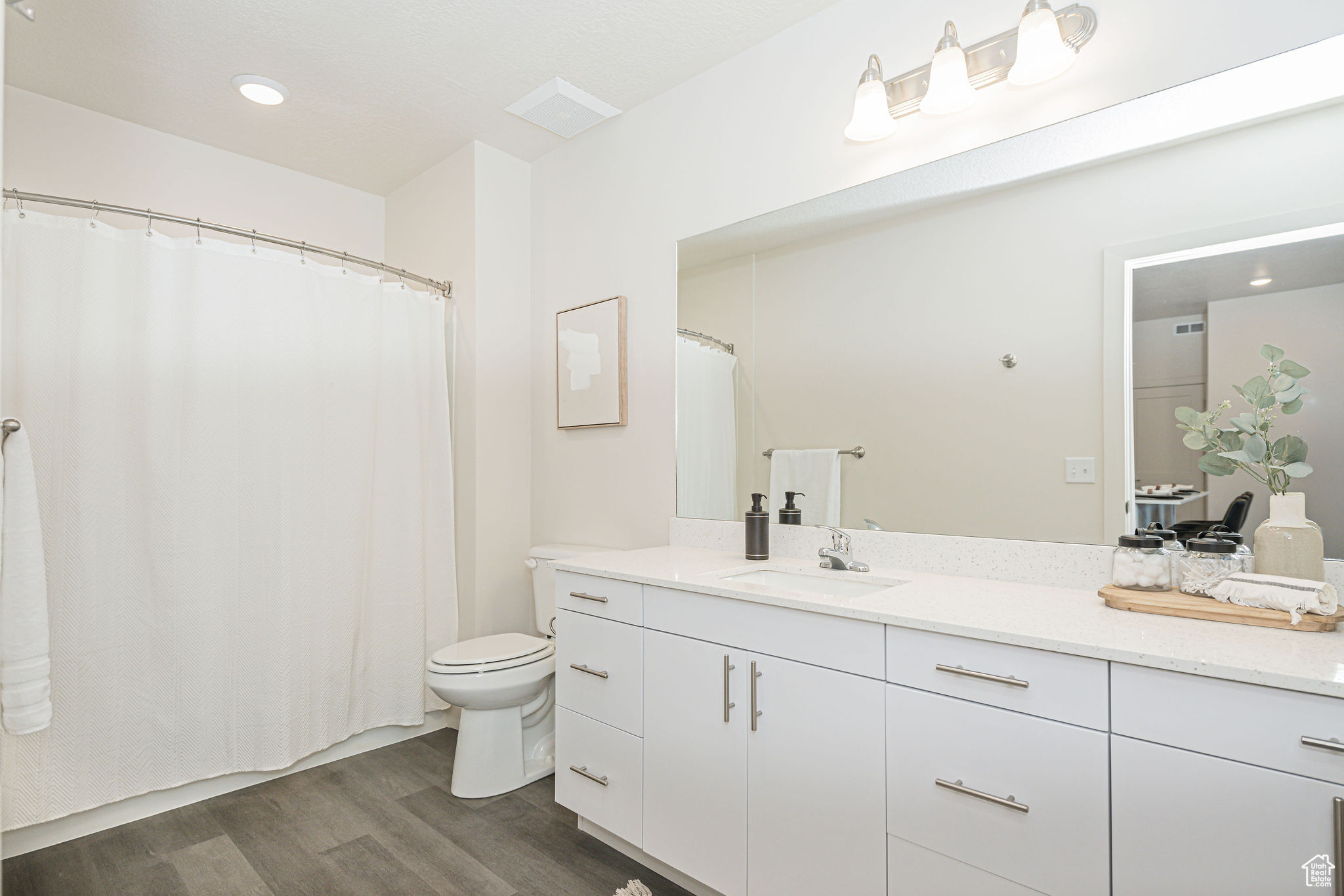 Bathroom with toilet, vanity, and hardwood / wood-style floors