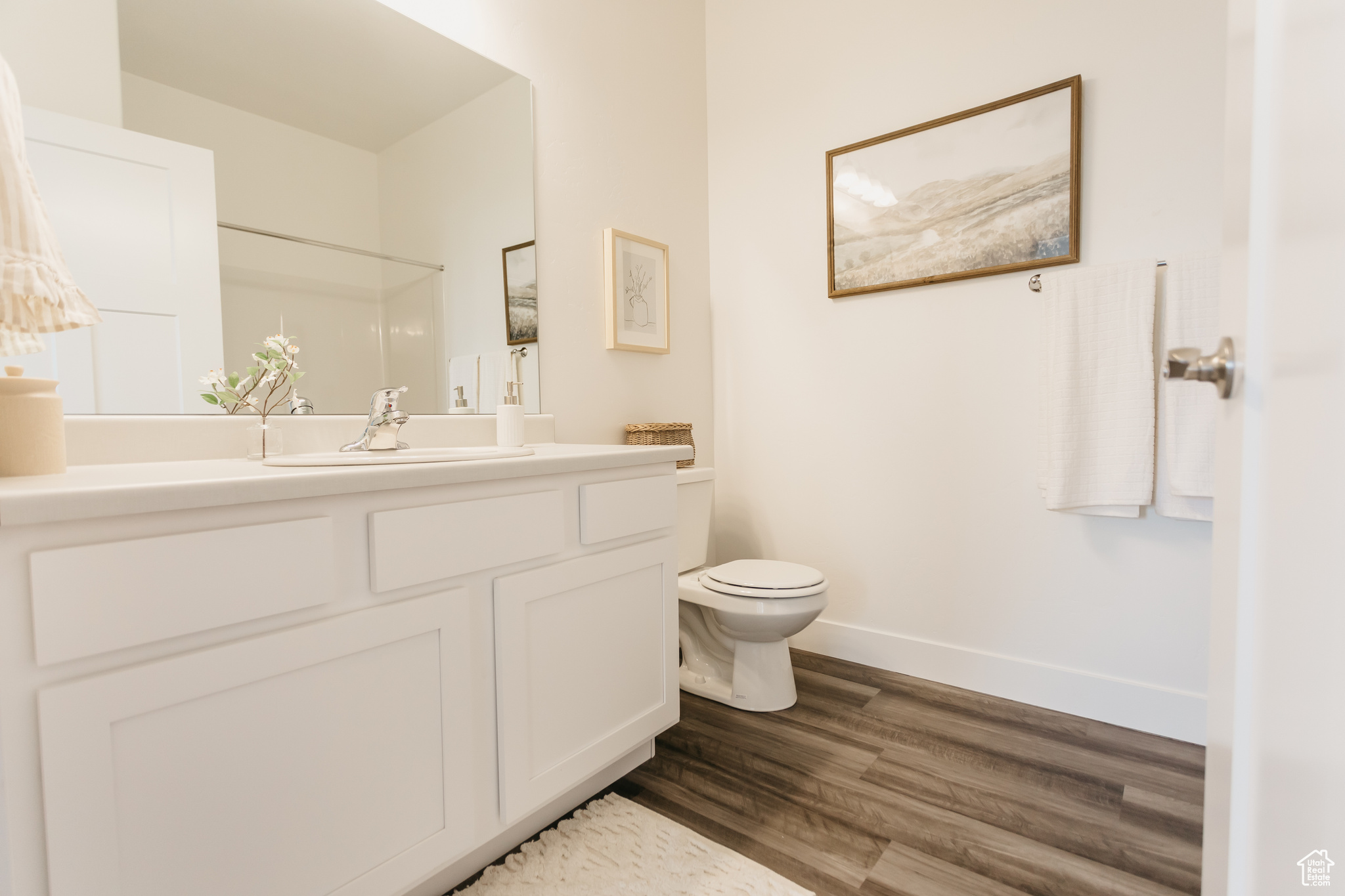 Bathroom featuring toilet, wood-type flooring, and vanity