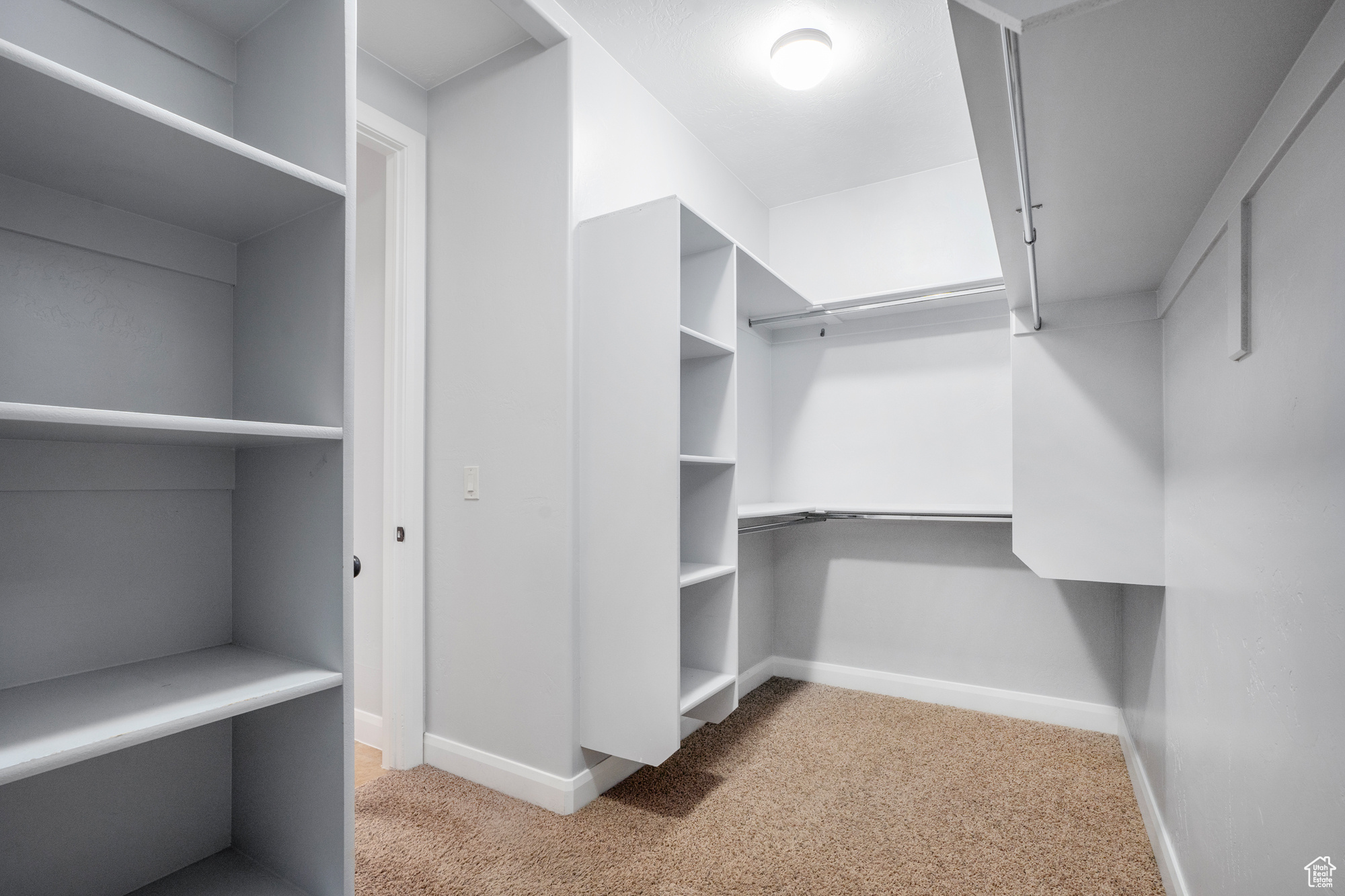 Spacious closet with light carpet