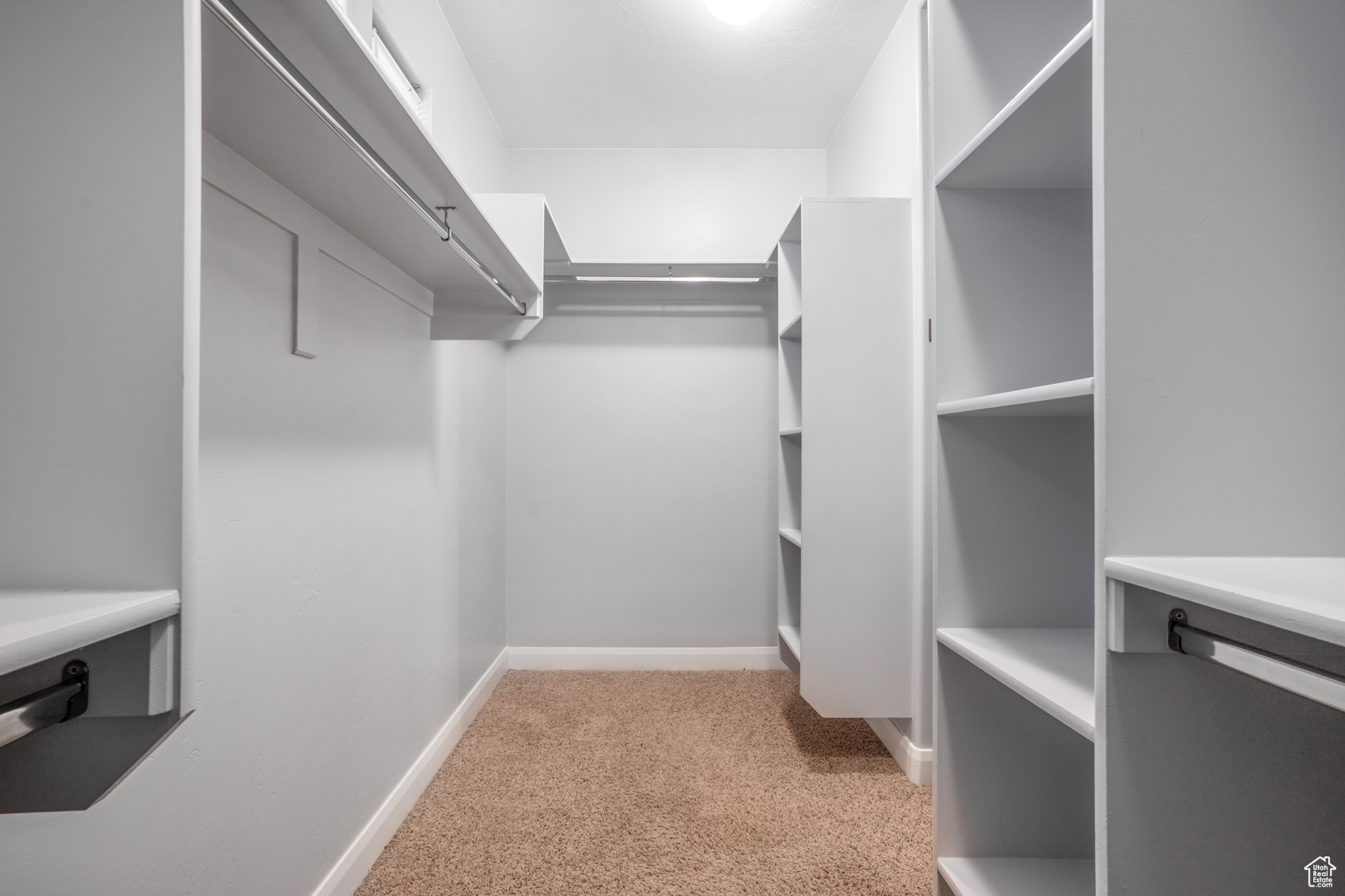 Spacious closet featuring light carpet