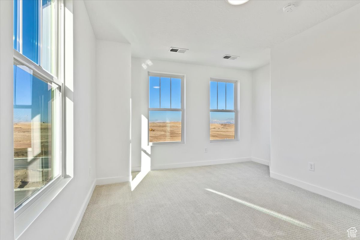 Spare room featuring a healthy amount of sunlight and light colored carpet