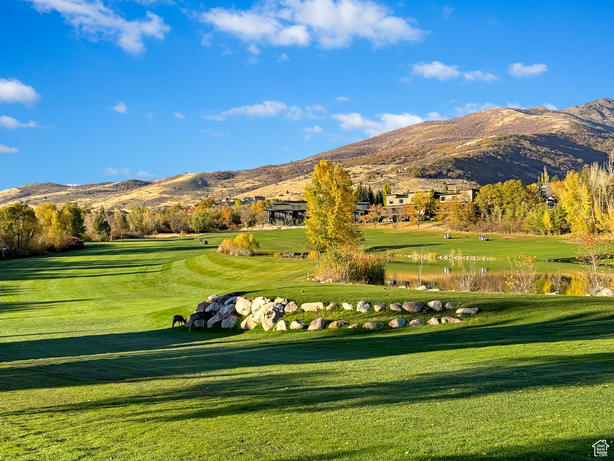 Surrounding community with a mountain view and a lawn