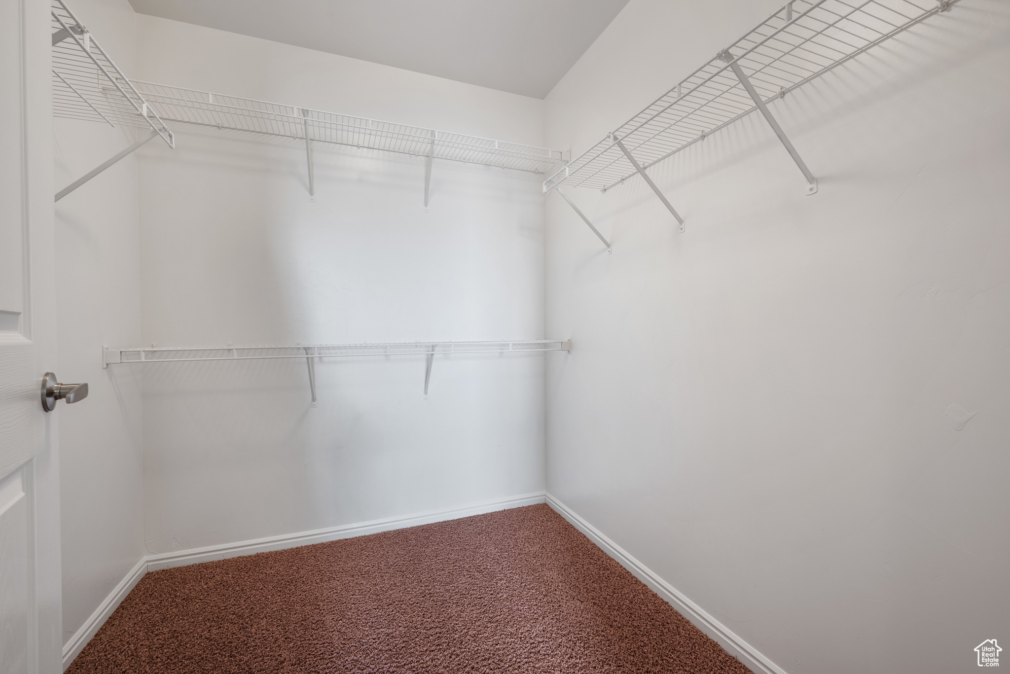 Walk in closet featuring carpet floors