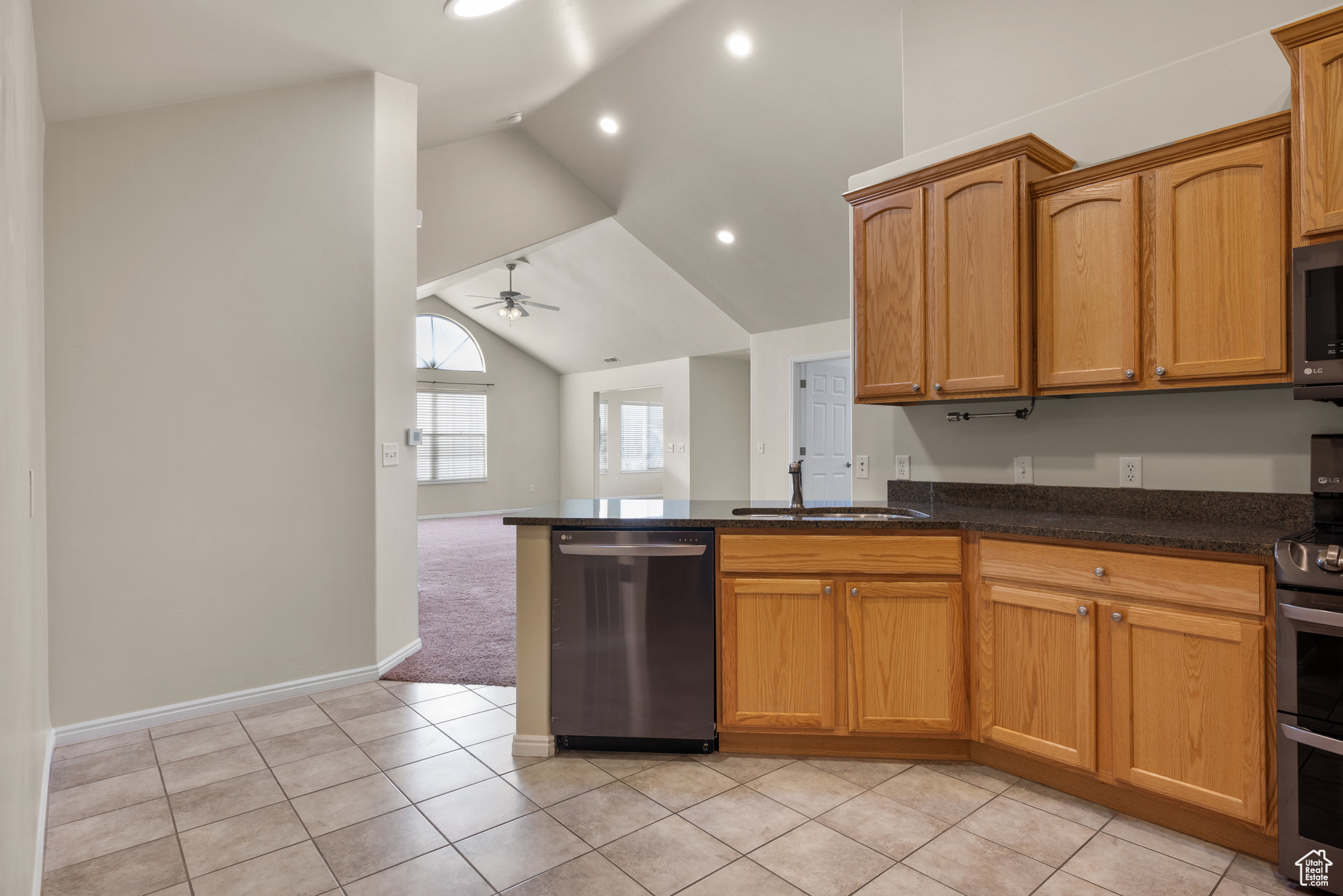 Kitchen with sink, vaulted ceiling, dark stone counters, ceiling fan, and stainless steel appliances