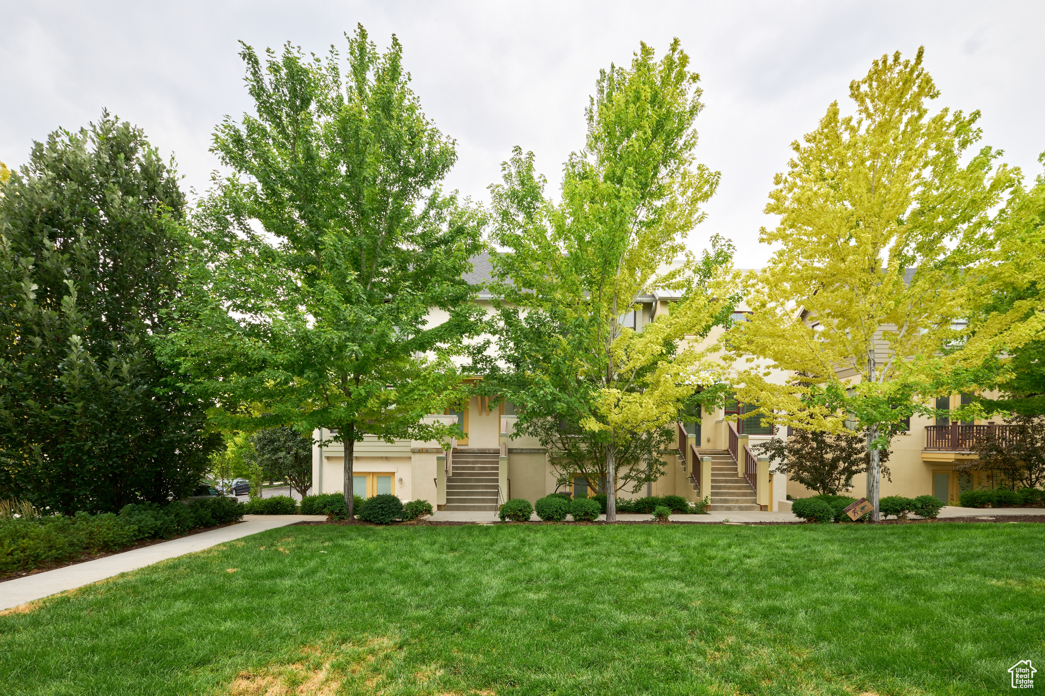 Obstructed view of property with a front yard