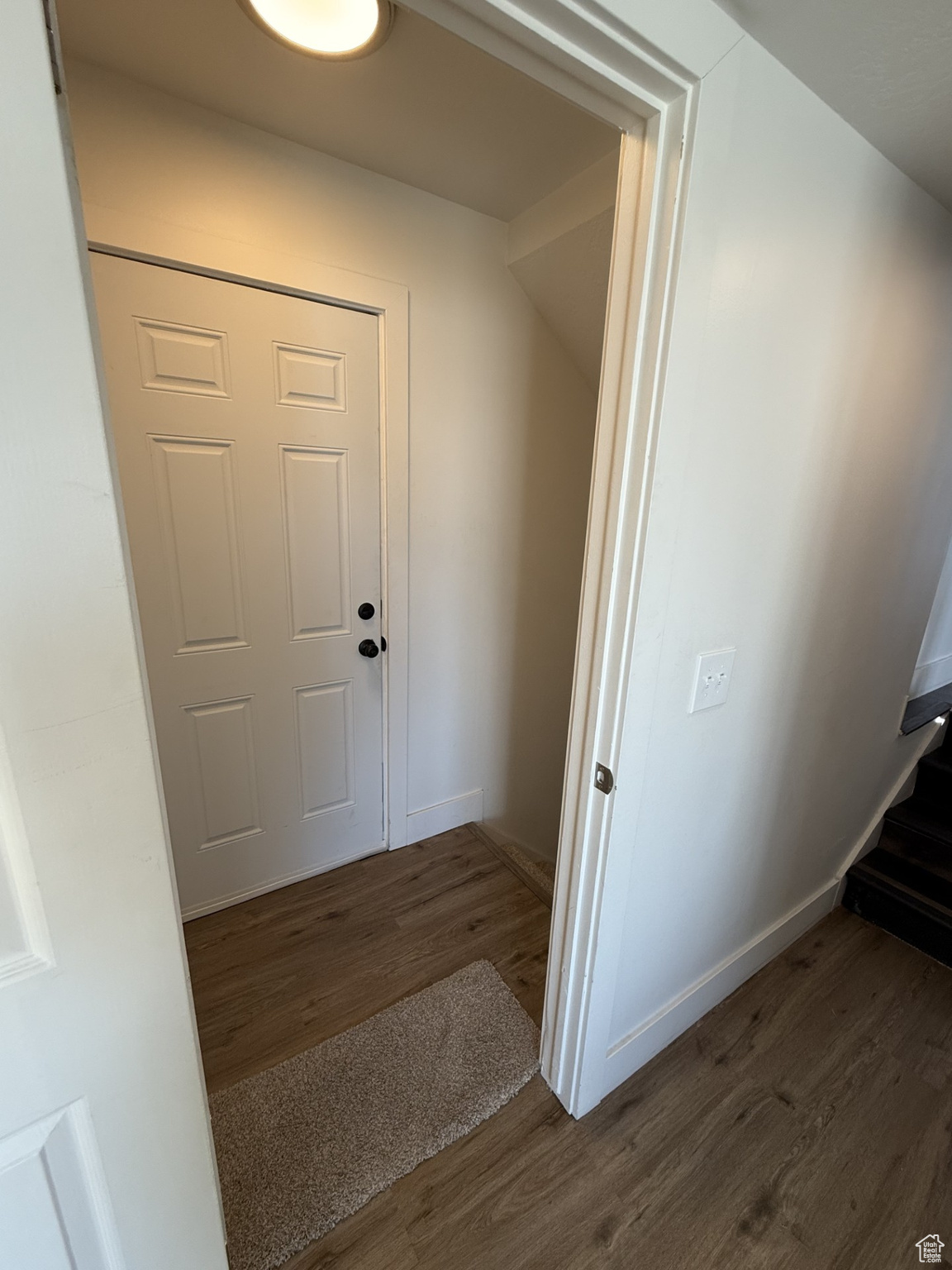 Stairs with hardwood / wood-style flooring