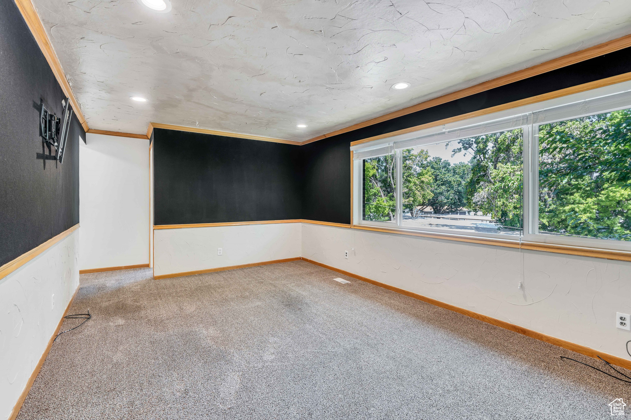 Carpeted spare room with ornamental molding