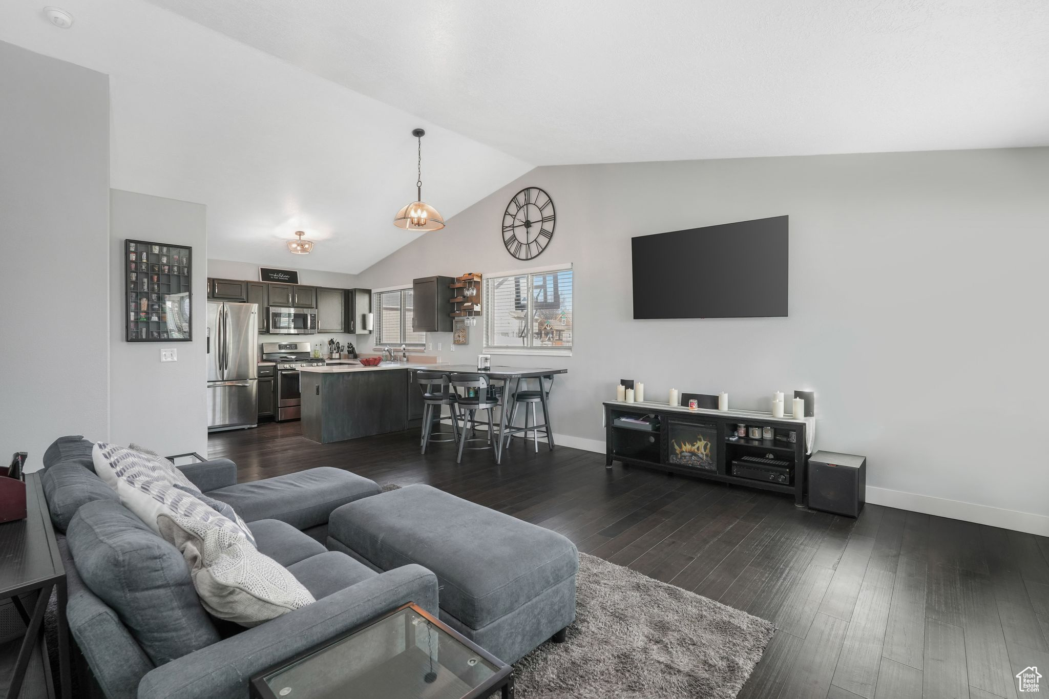 Living room with lofted ceiling and dark wood-type flooring