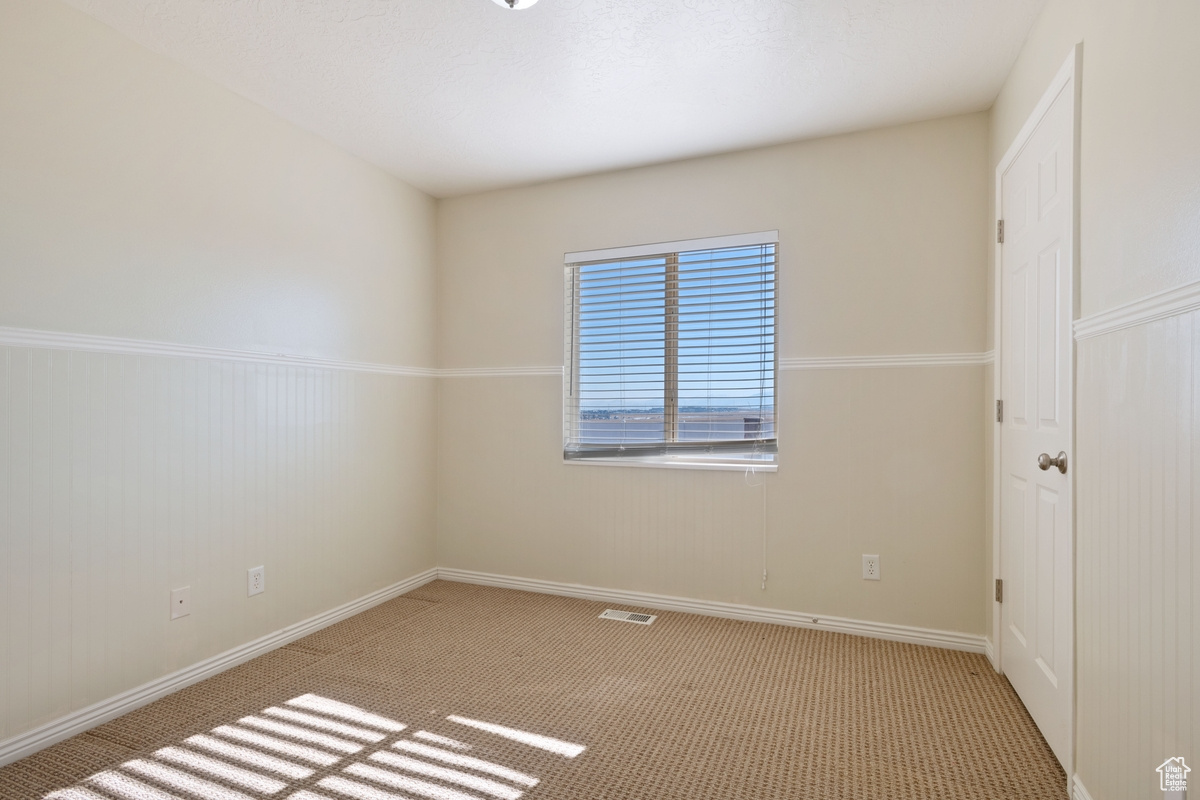 Unfurnished room featuring light colored carpet