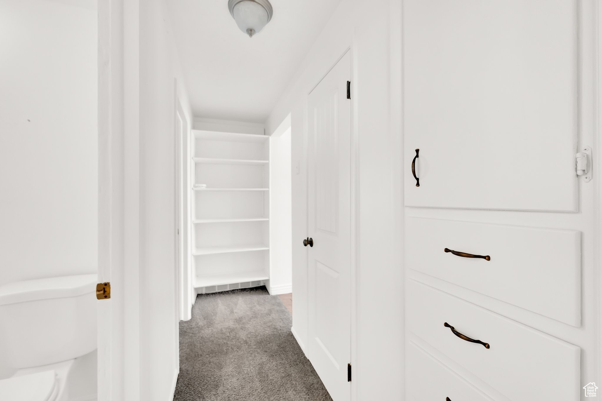 Spacious closet featuring dark carpet