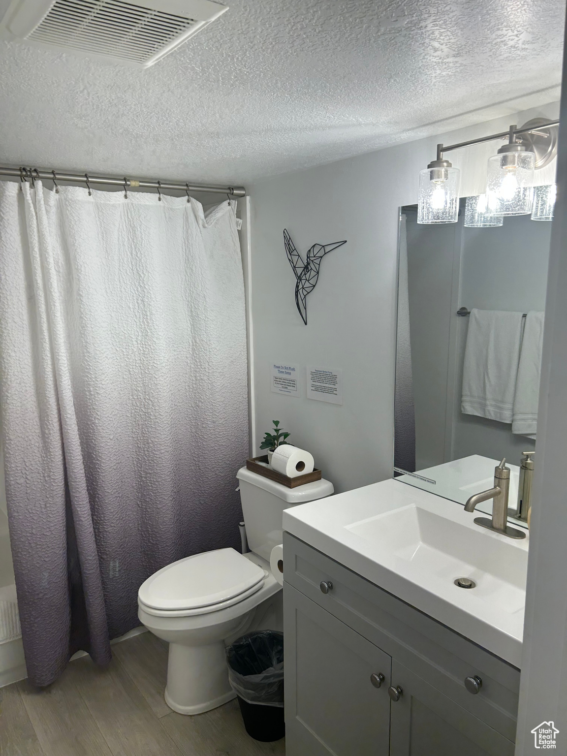 Bathroom featuring vanity, toilet, hardwood / wood-style floors, and a textured ceiling