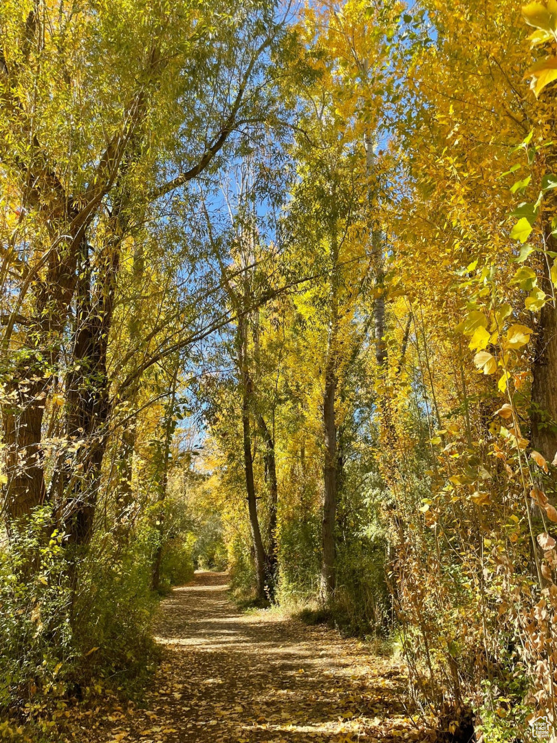 The trail is a hidden paradise perfect for humans and their furry companions