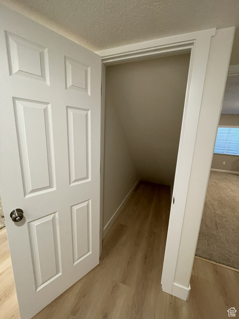 Basement under the stairs storage closet