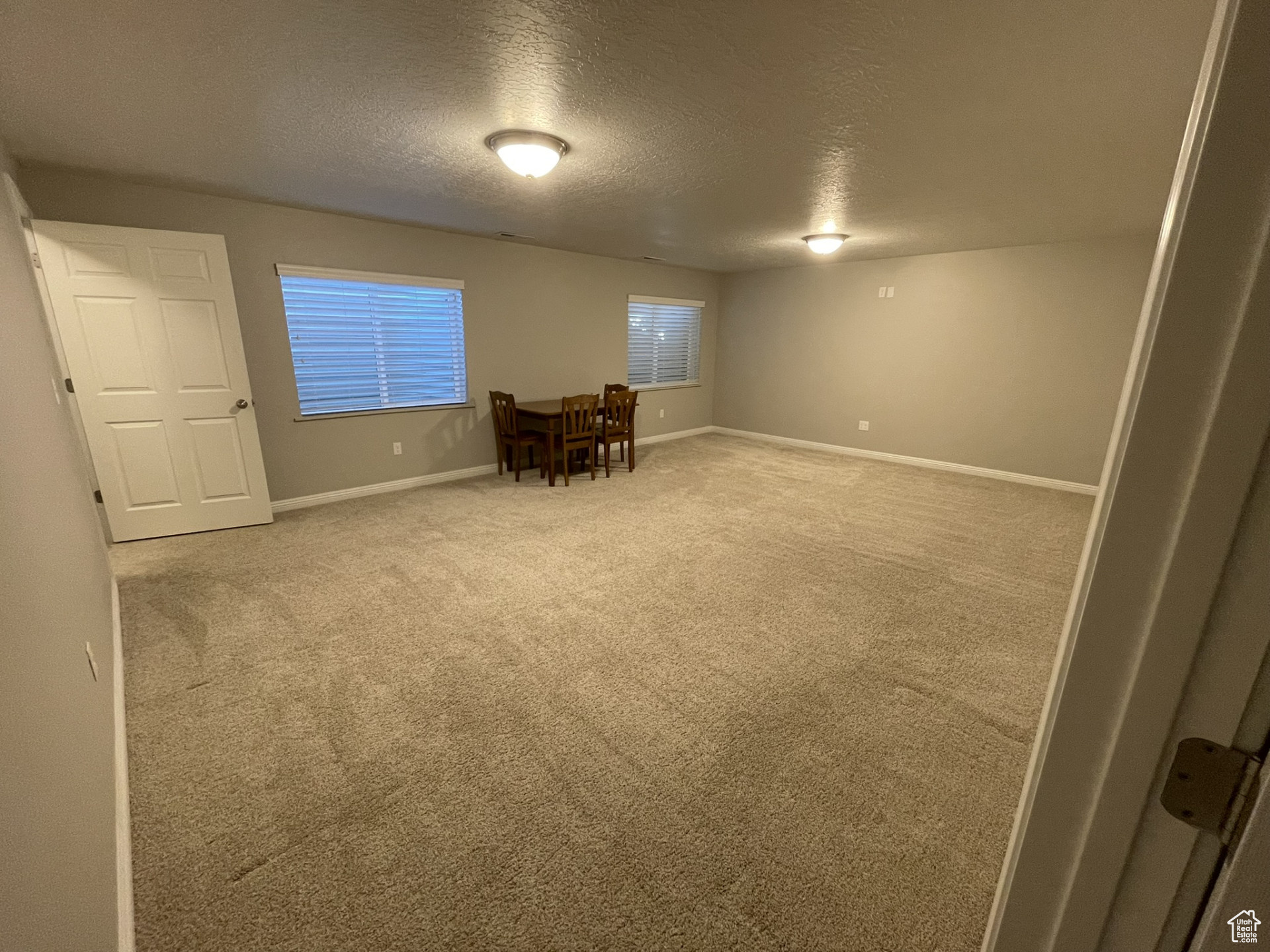 Basement family room