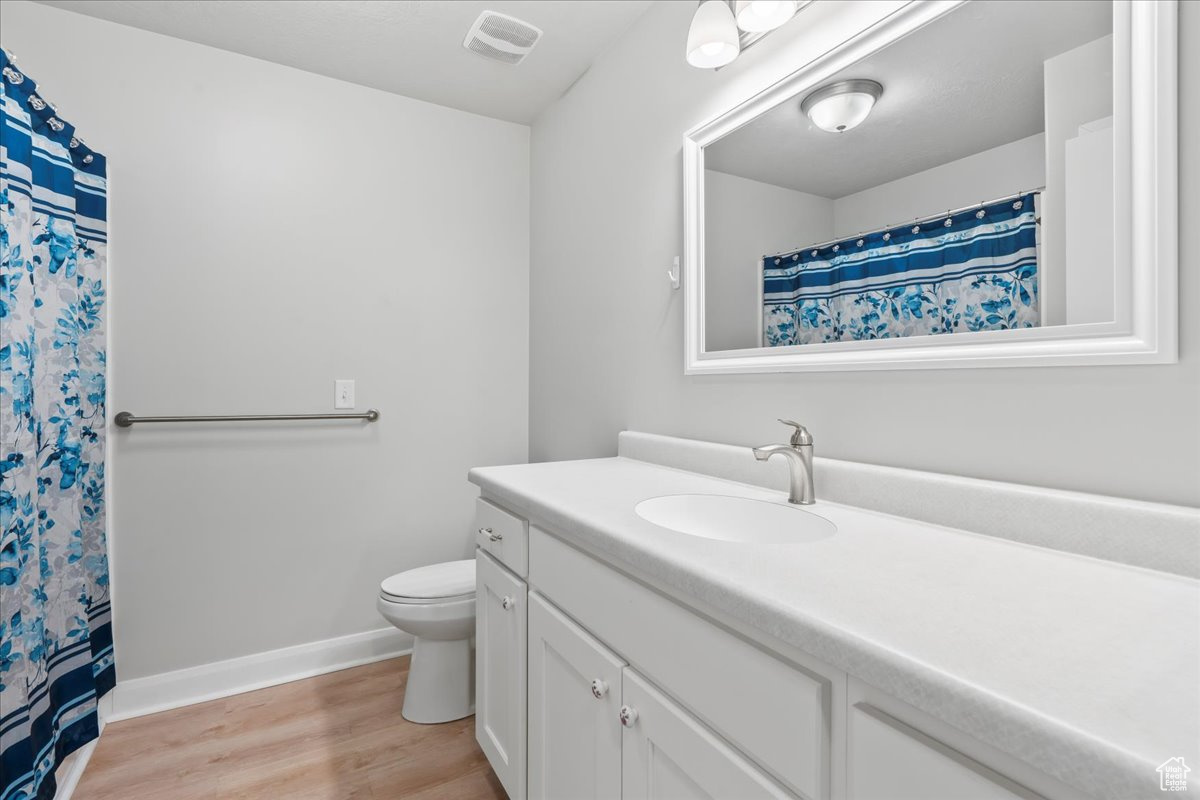 Bathroom featuring vanity, hardwood / wood-style floors, and toilet