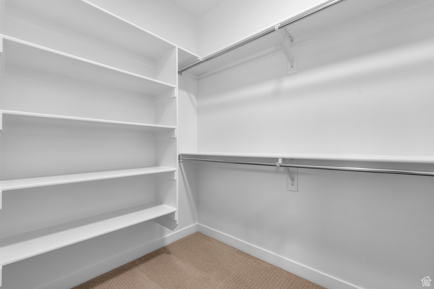 Spacious closet featuring light colored carpet