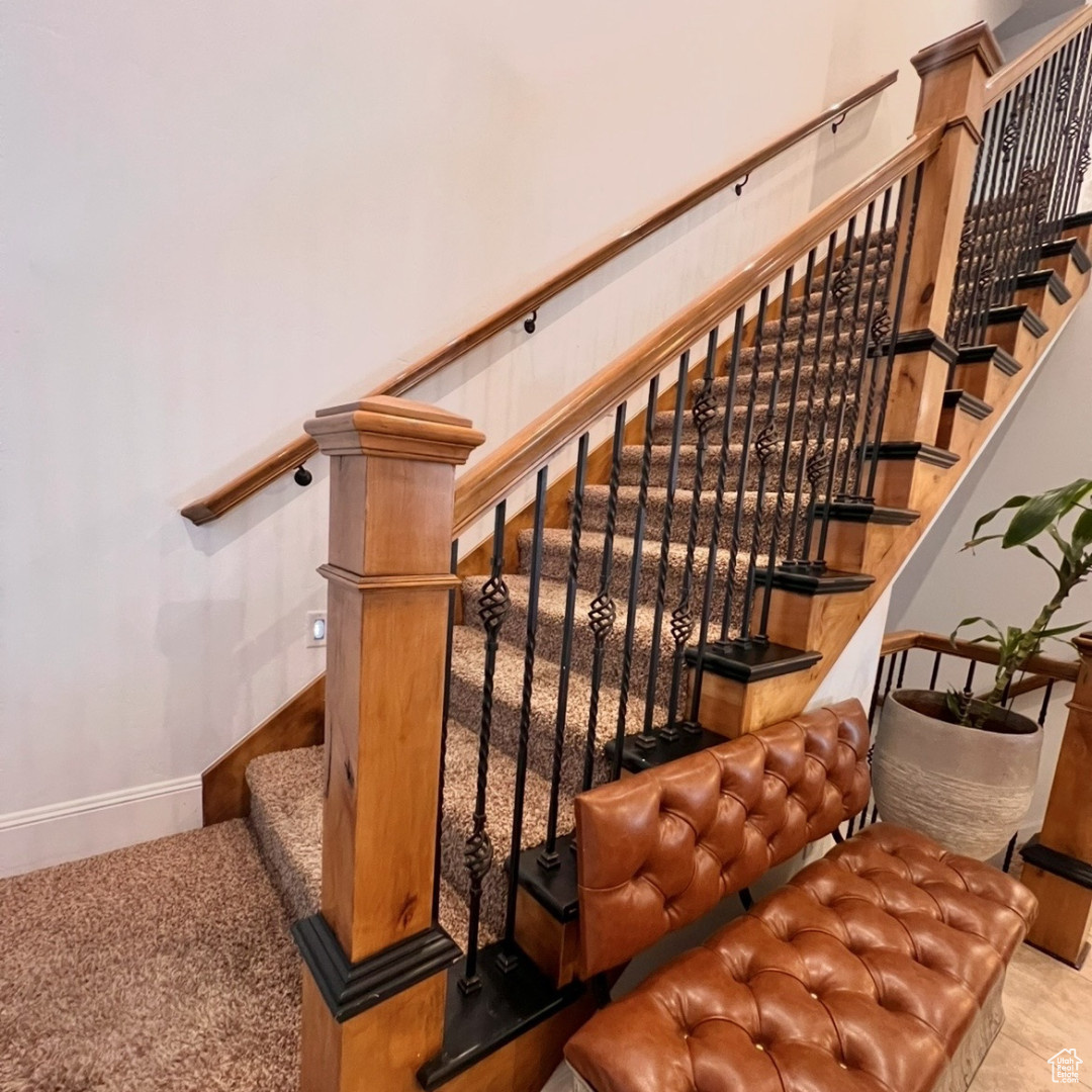 Stairs featuring carpet