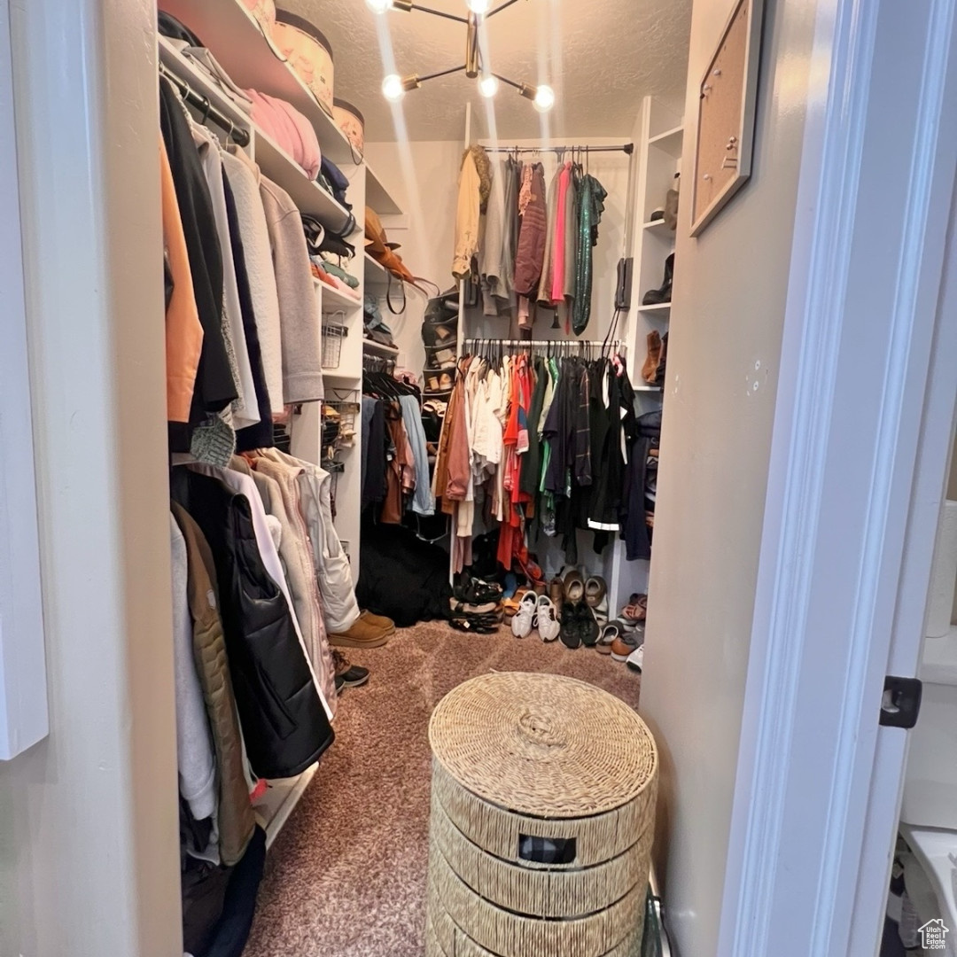 Walk in closet featuring carpet