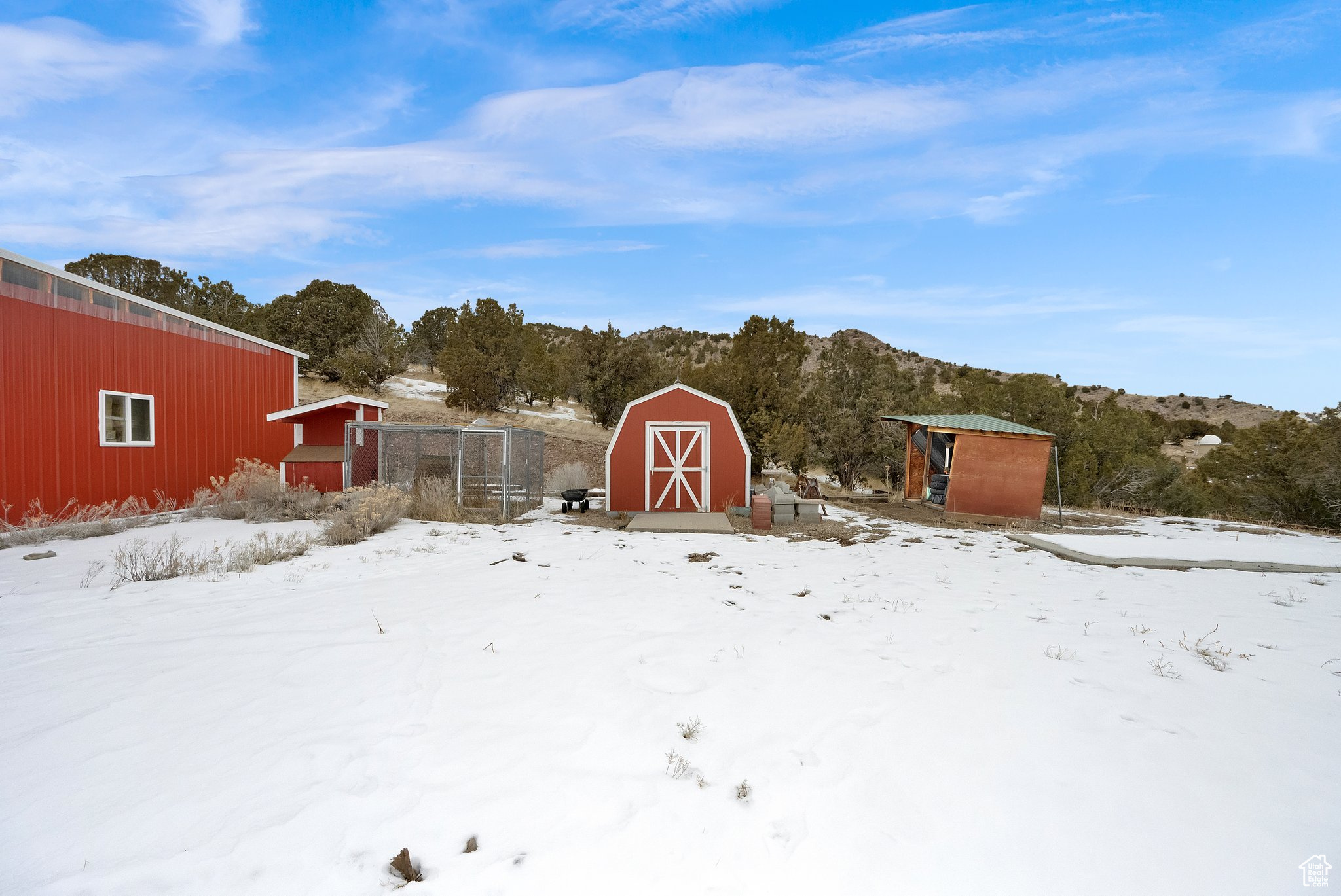 Snowy yard with a shed