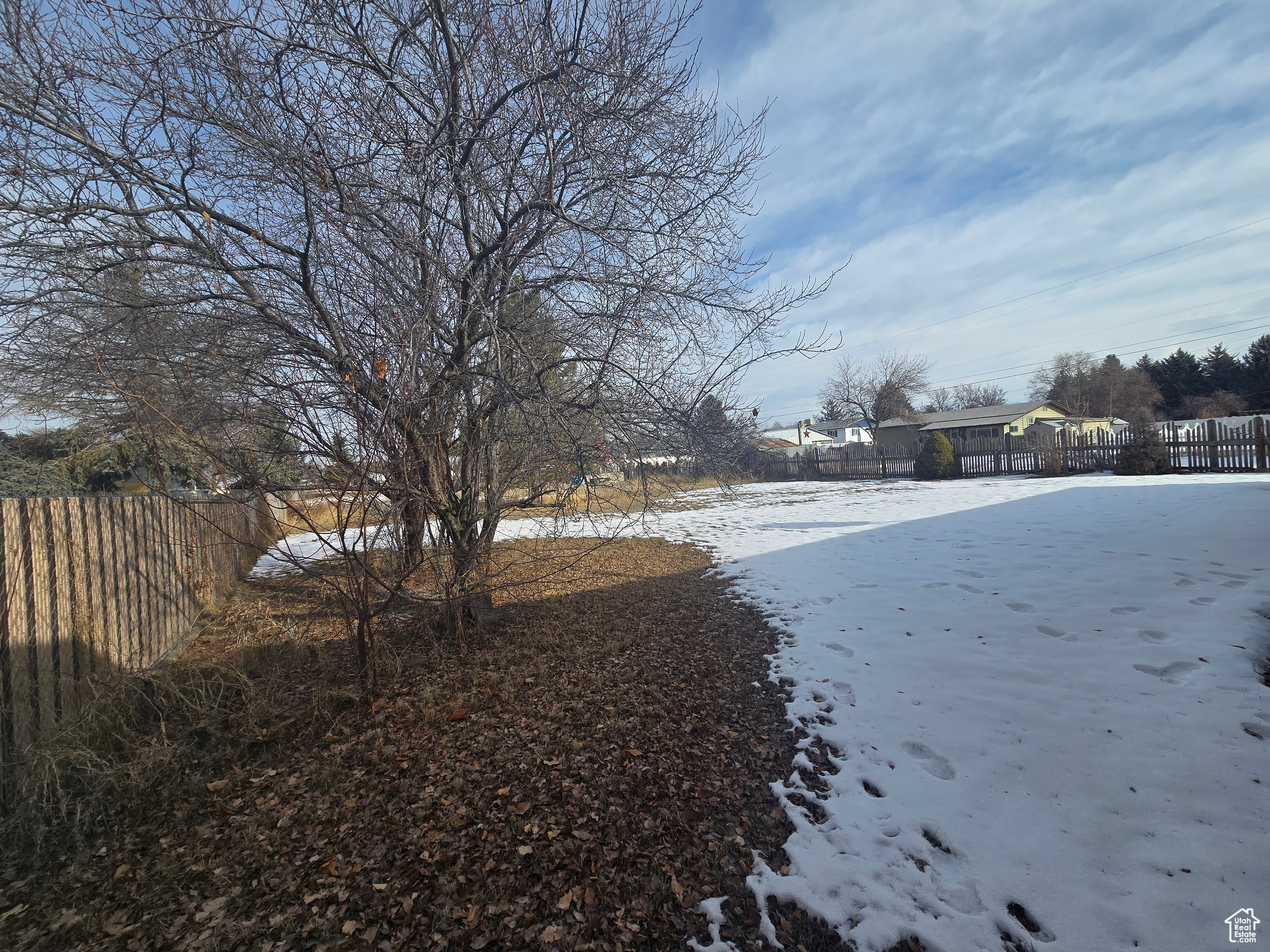 View of snowy yard