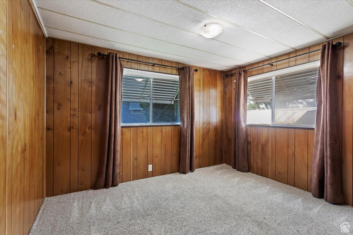 Carpeted spare room featuring wooden walls and a textured ceiling