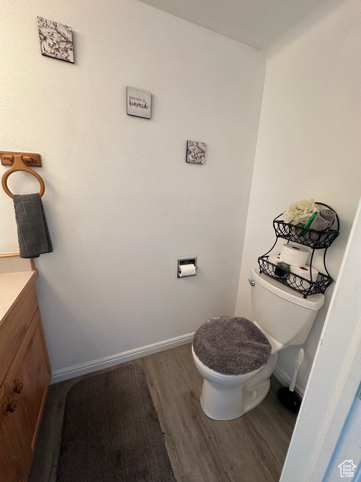 Bathroom with vanity, hardwood / wood-style floors, and toilet