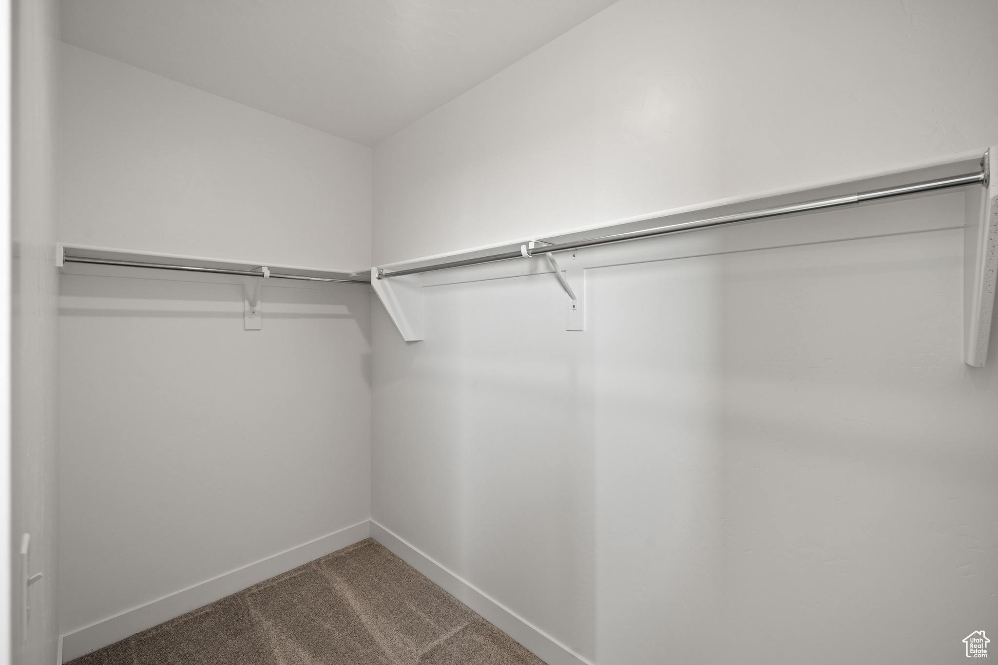 Spacious closet featuring carpet flooring