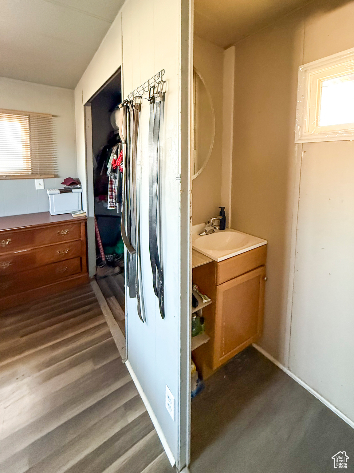 Bathroom with wood-type flooring and vanity