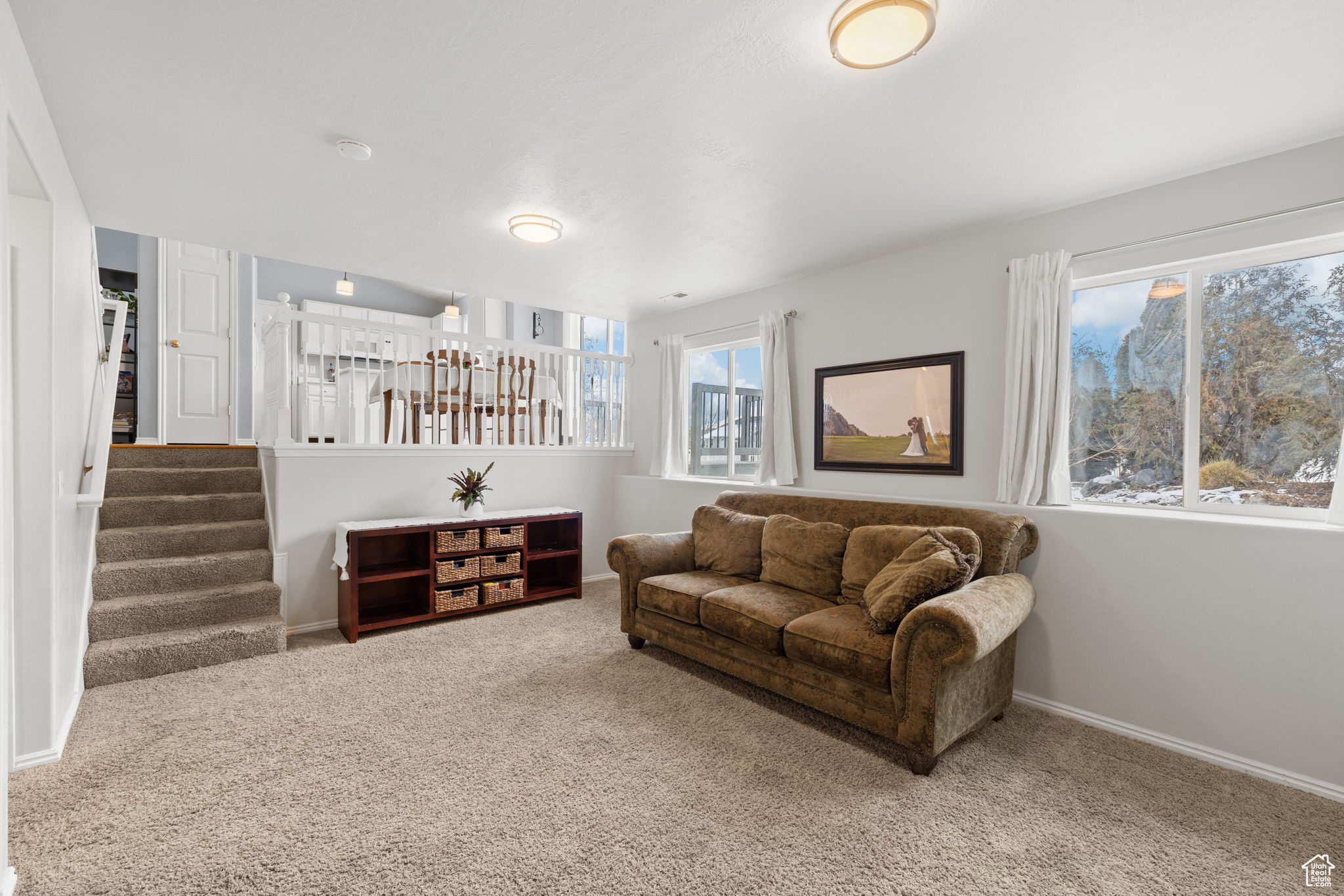 Living room featuring carpet