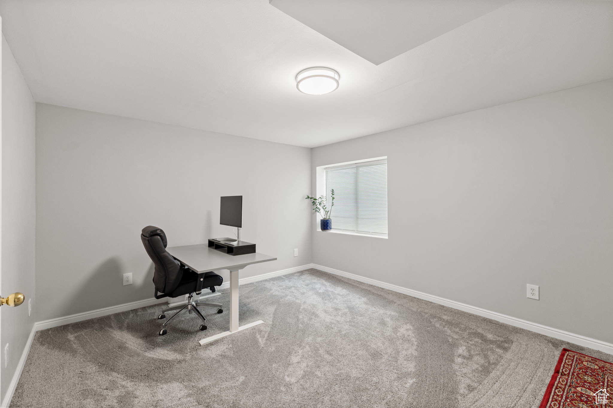 Office space featuring carpet