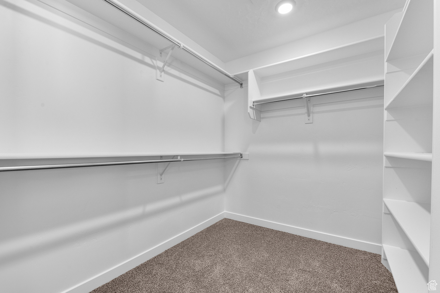 Spacious closet featuring carpet flooring